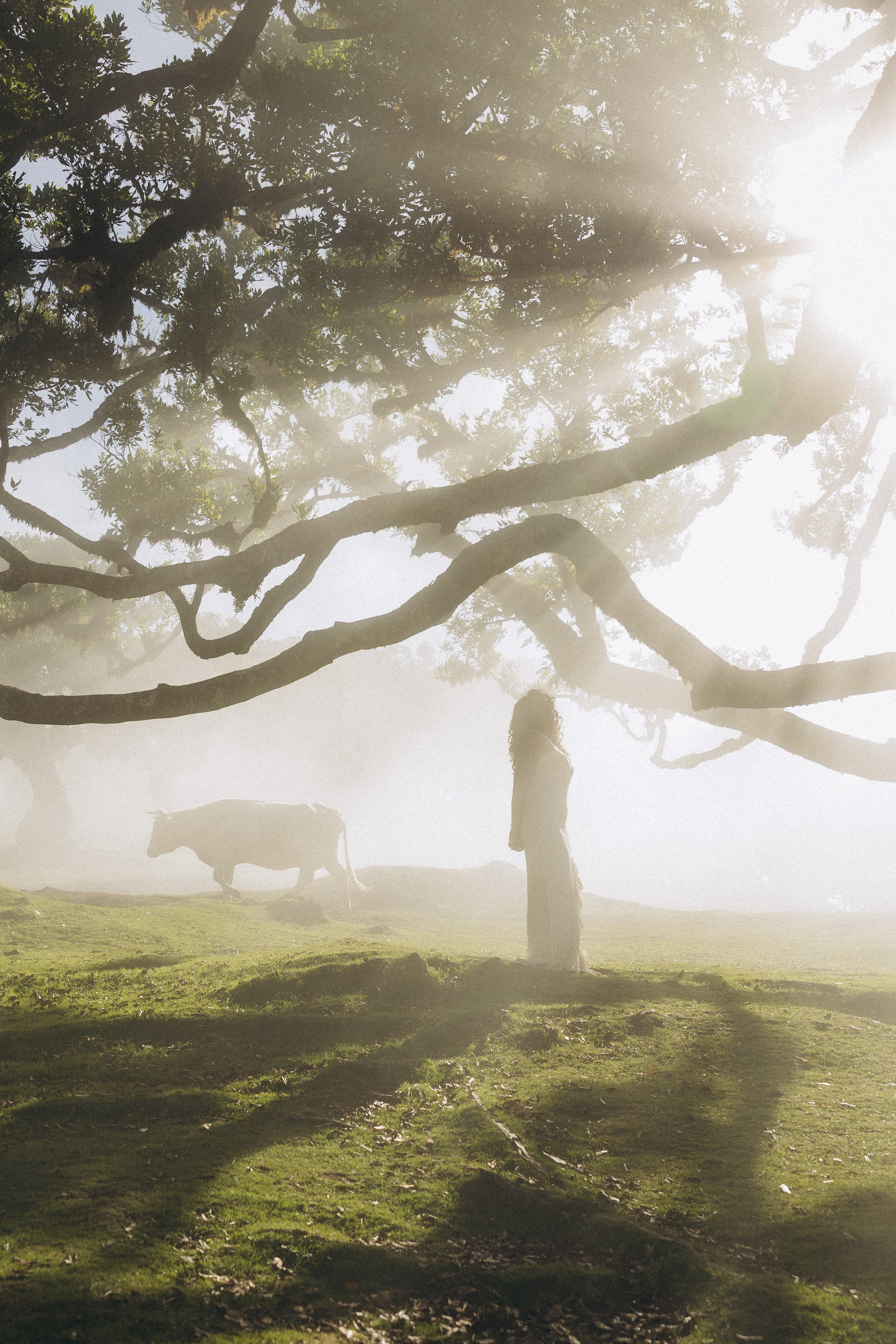 New photoshoots in Madeira: capture your moments!