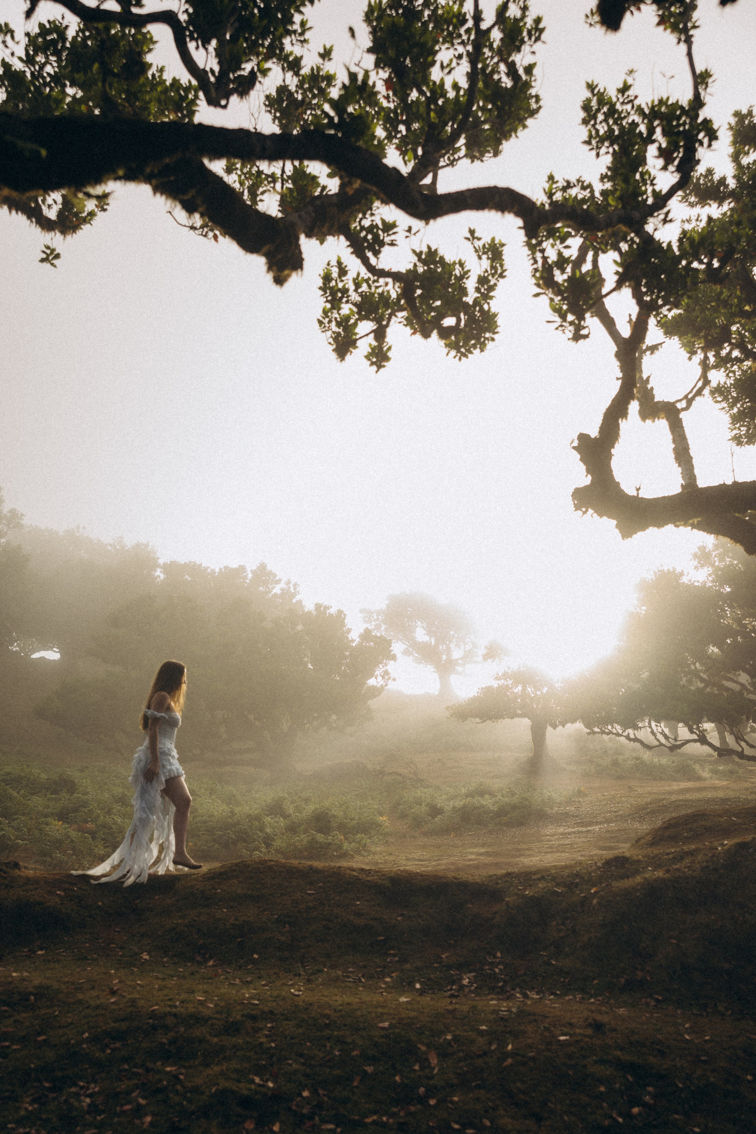 New photoshoots in Madeira: capture your moments!