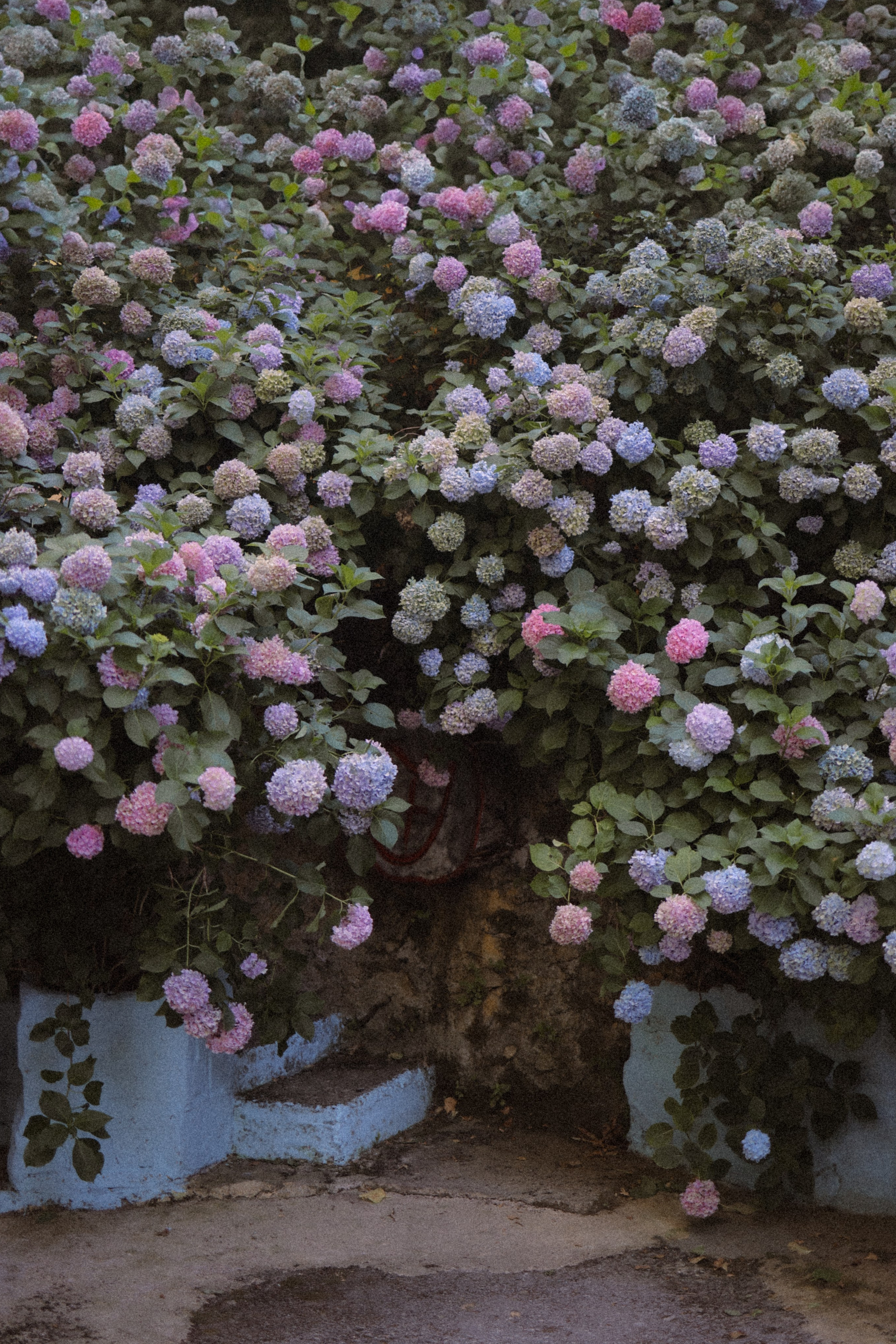 Блог. Фотограф в Турции | Алания, Сиде, Белек, Анталия, Кемер)