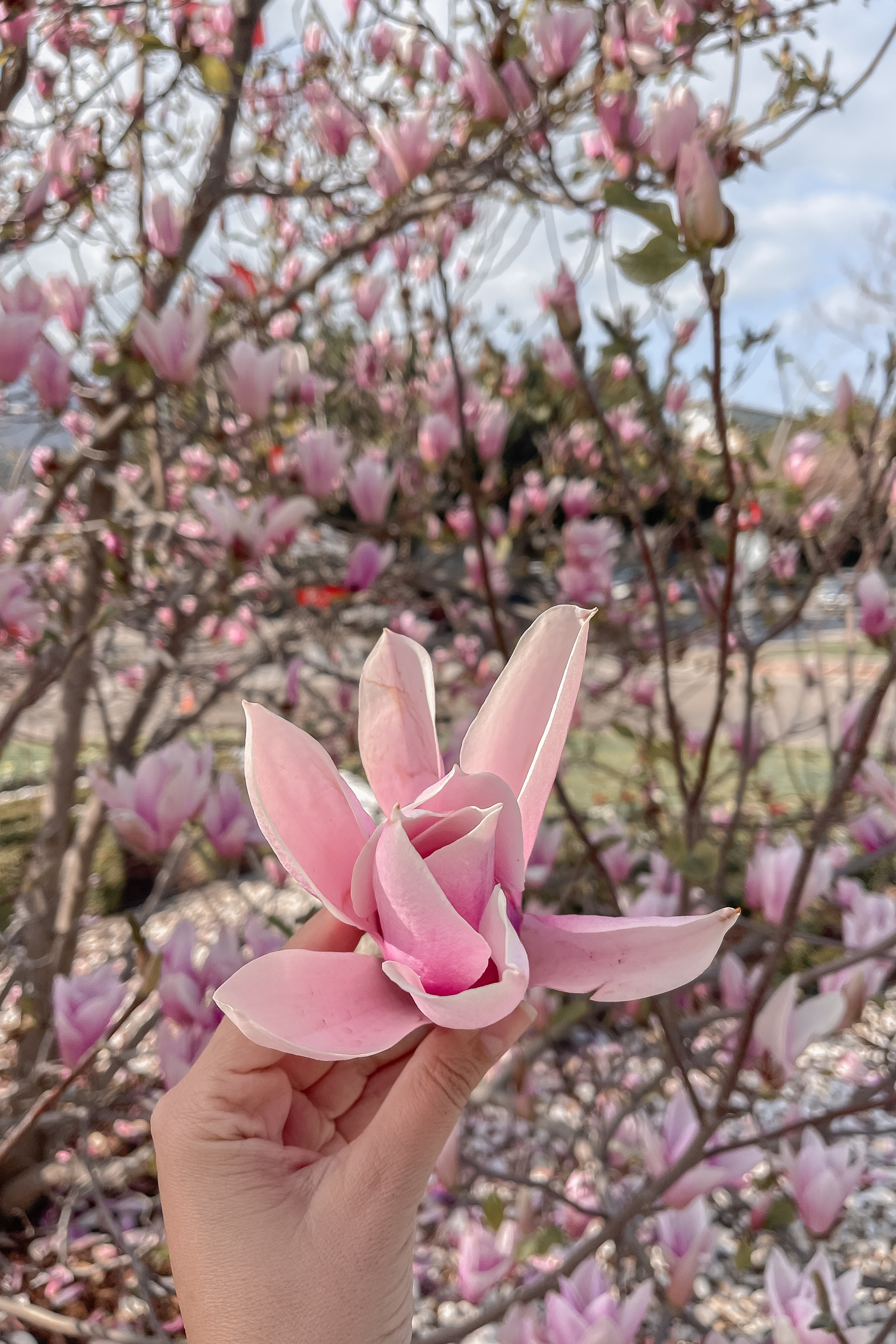 Блог. Фотограф в Турции | Алания, Сиде, Белек, Анталия, Кемер)