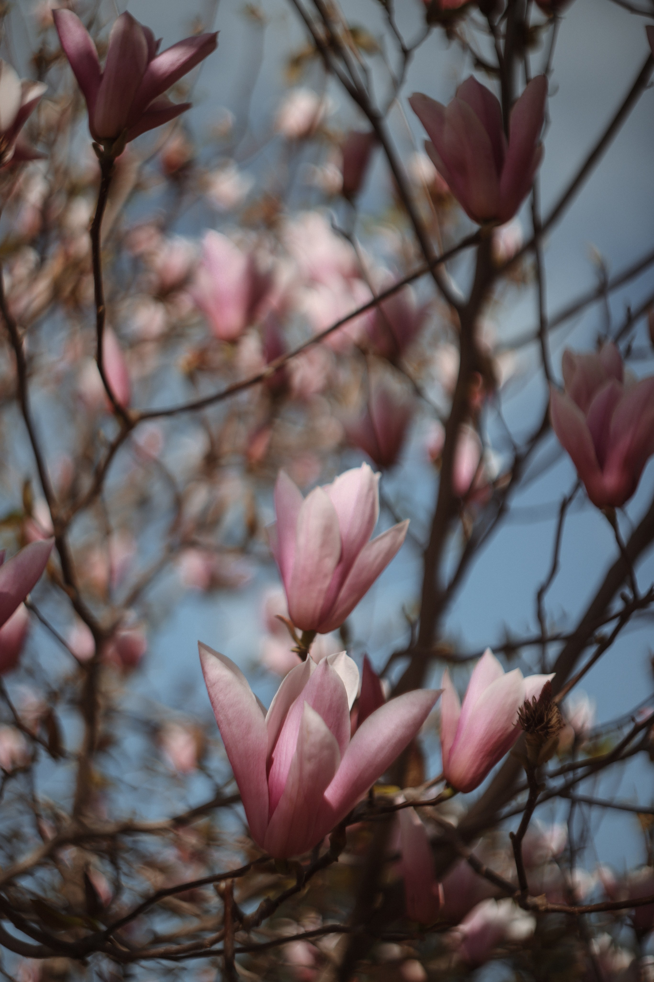 Блог. Фотограф в Турции | Алания, Сиде, Белек, Анталия, Кемер)