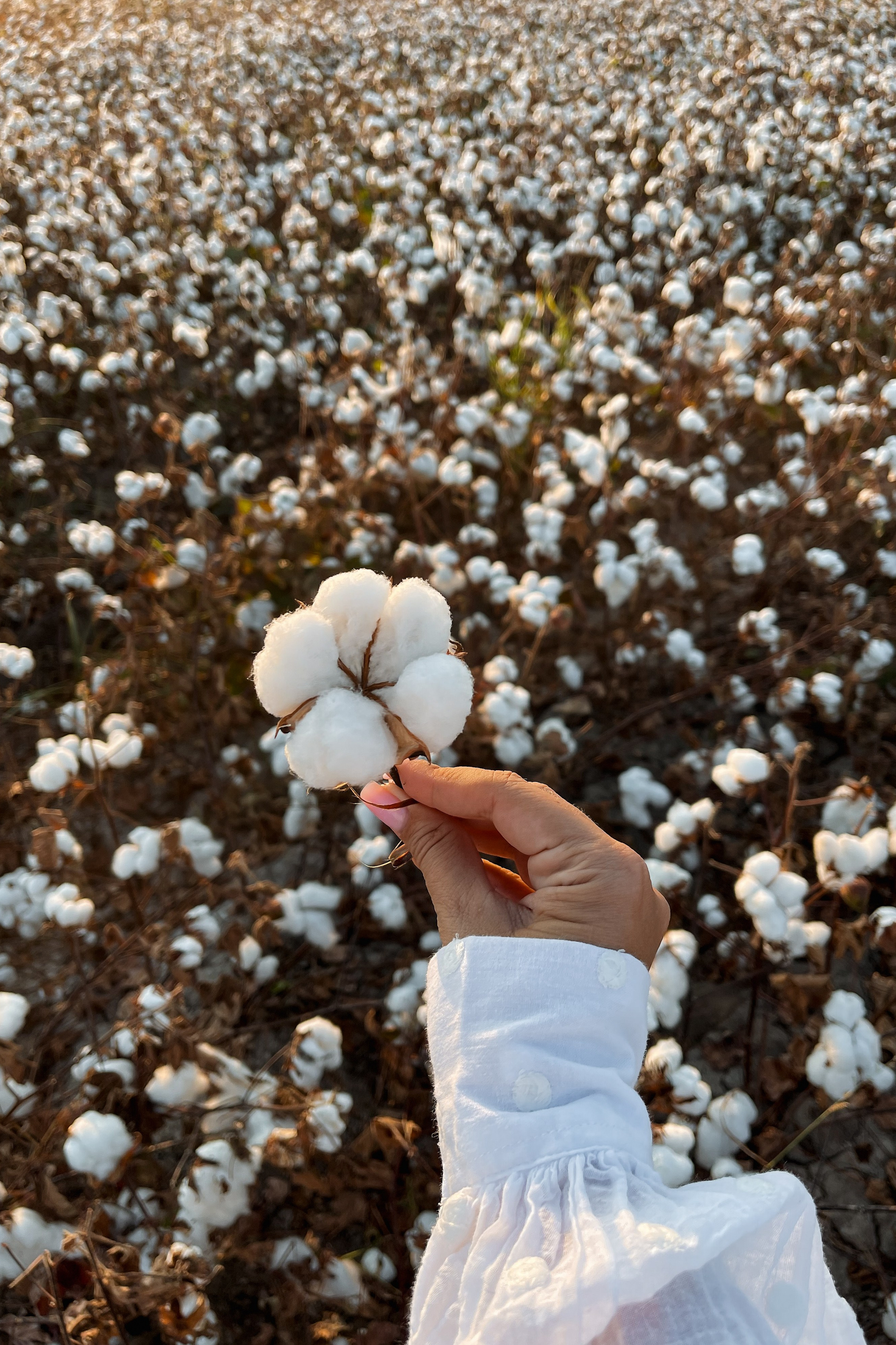 Блог. Фотограф в Турции | Алания, Сиде, Белек, Анталия, Кемер)