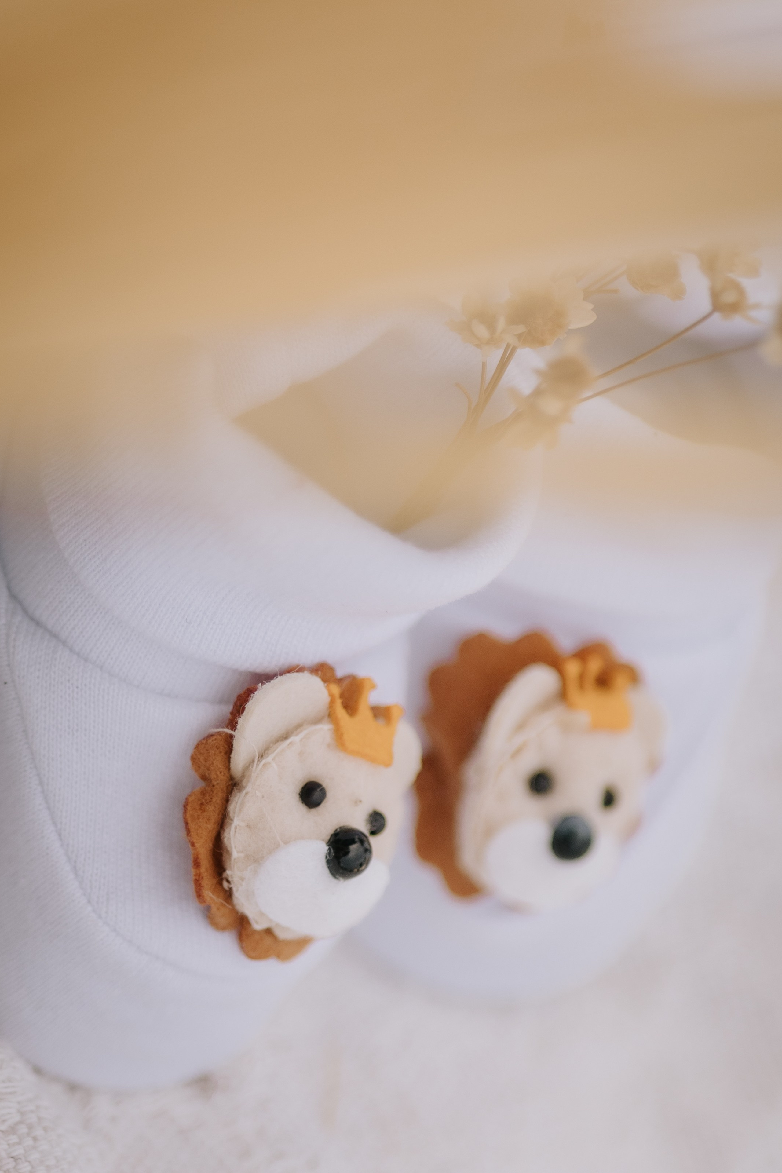 À Espera de Apólo. Denilson Viana fotografia l Casamento, Família e 15 Anos