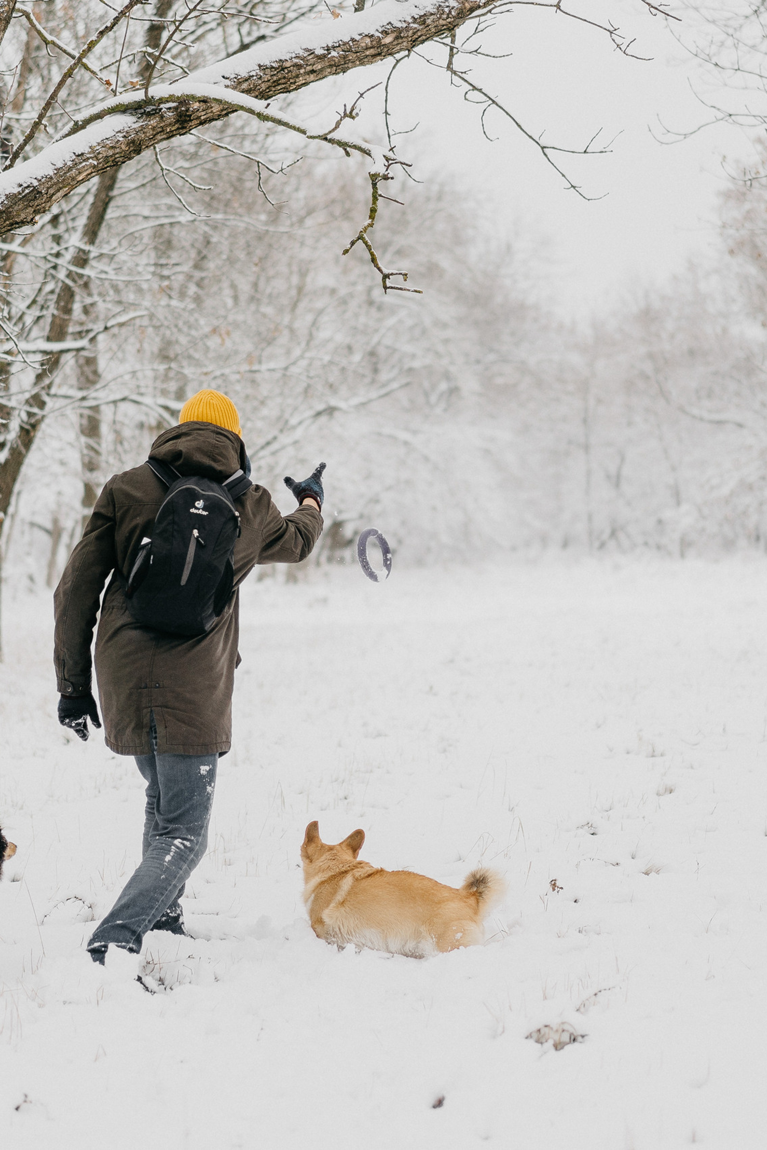Client Reviews — Italiantsev Photography & Videography. Orange County Wedding Photographer & Videographer | Candid & Timeless Wedding Photo + Video | Italiantsev
