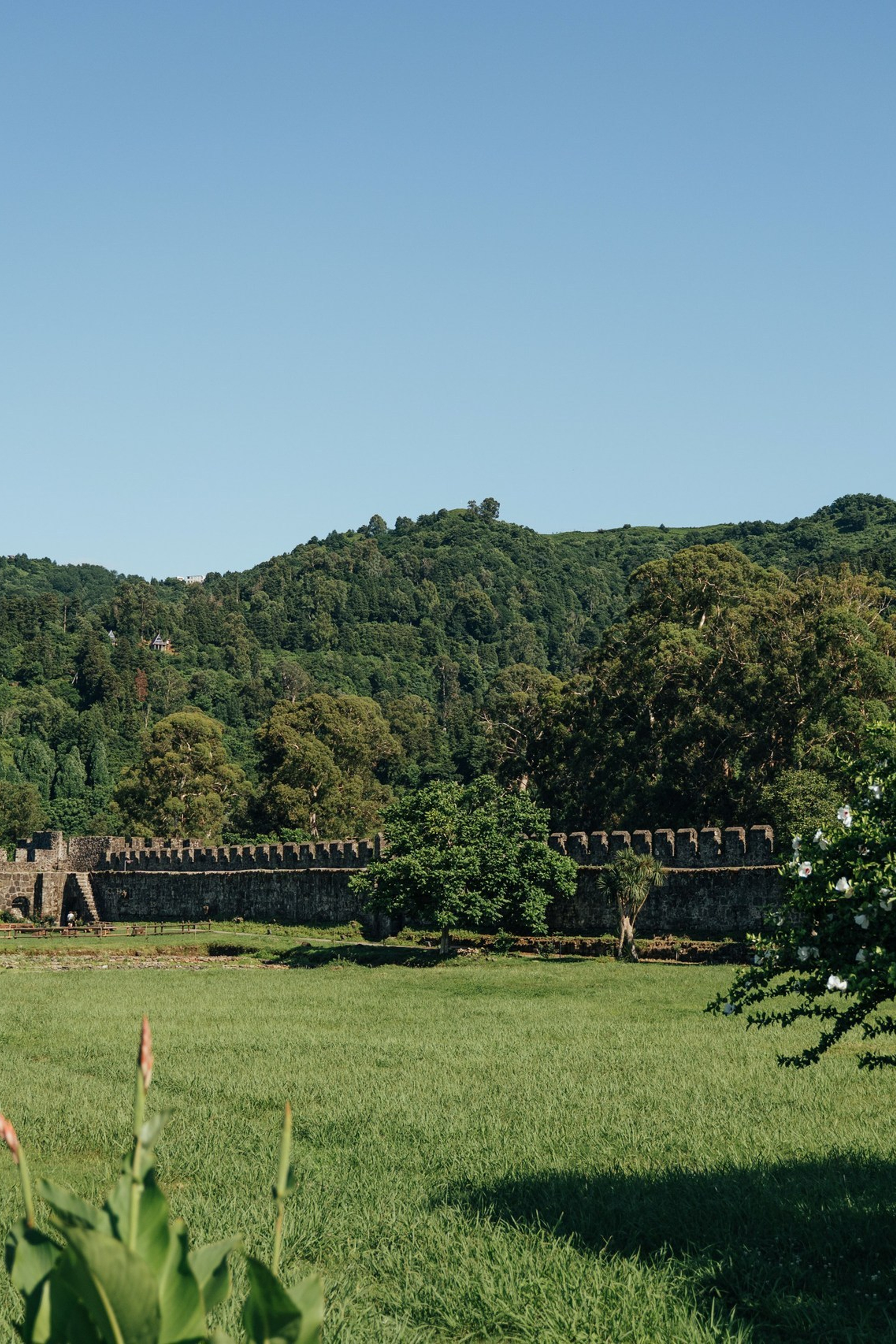 IVAN & JADRANKA. Art Event Studio — TOP rated event agency in Georgia