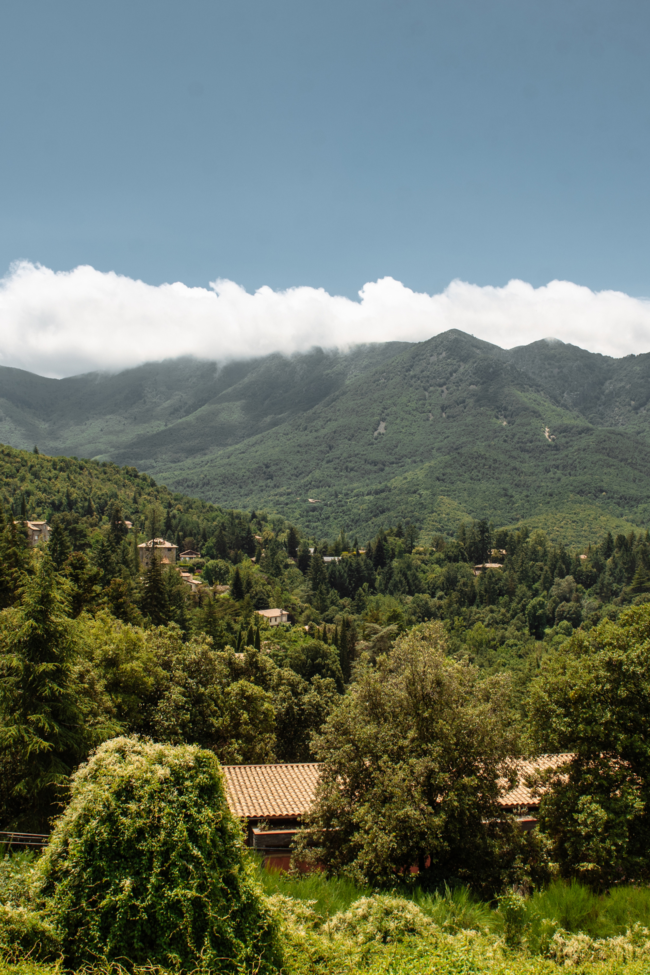 Sofia. ❤️Fotografía y Video de Bodas y Eventos en Barcelona – Estilo Natural con un toque Editorial | Ekaterina Gasanova