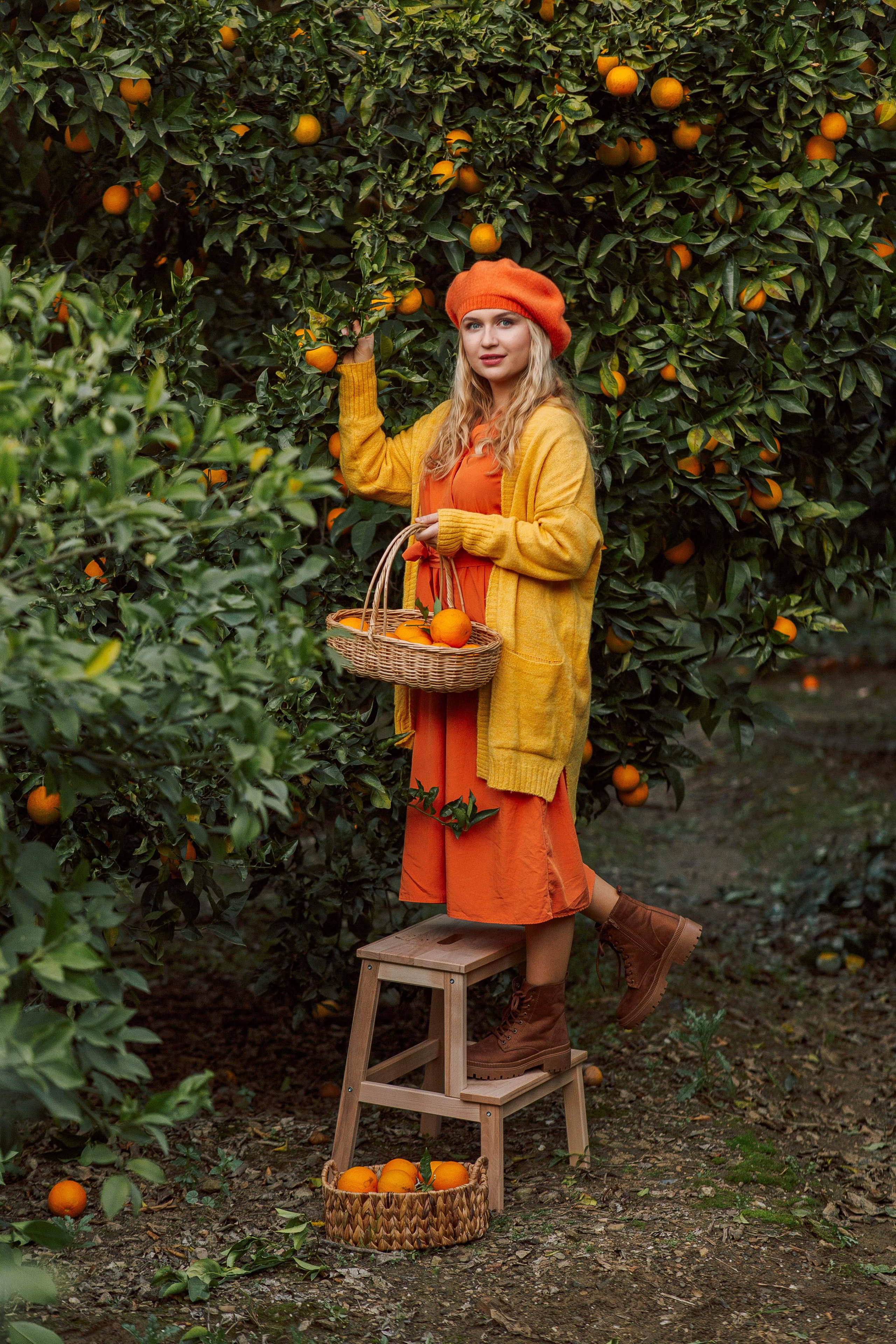 фотосессия в апельсиновом саду