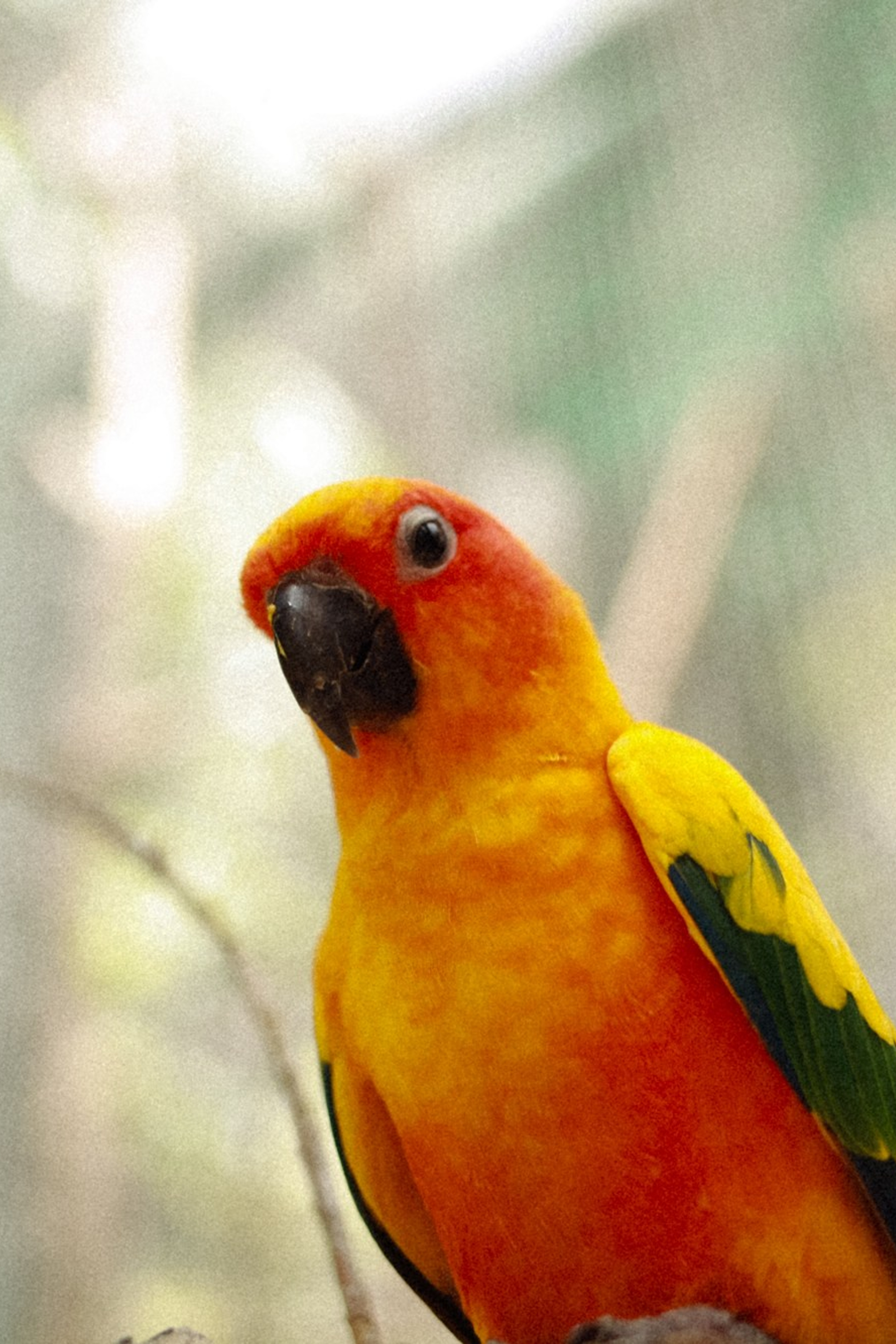 BLOG. Marina Kálcheva — Photographer, Videographer & Visual Artist in Barcelona