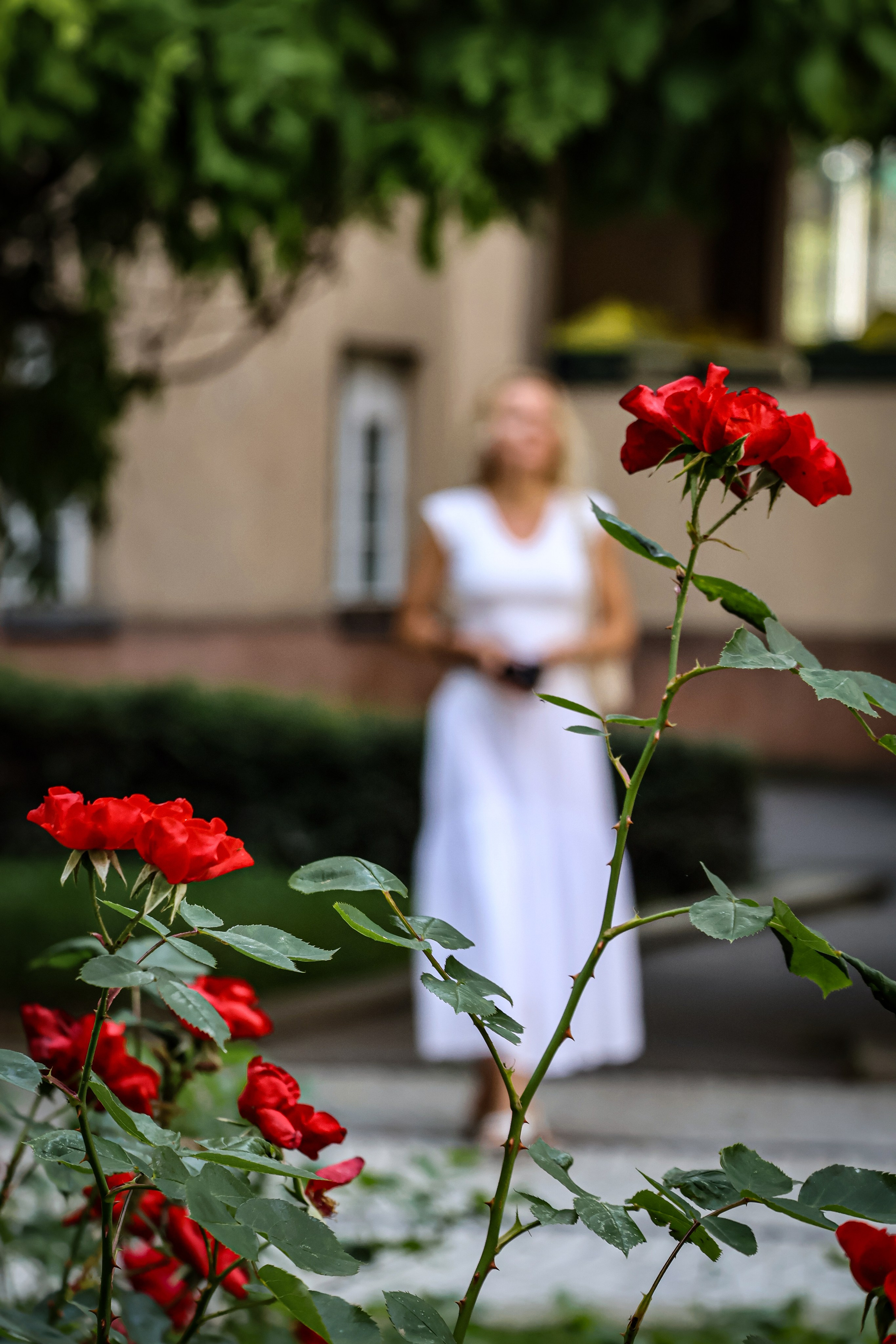 Stories. Portrait, couple and family photography in Vienna, Austria