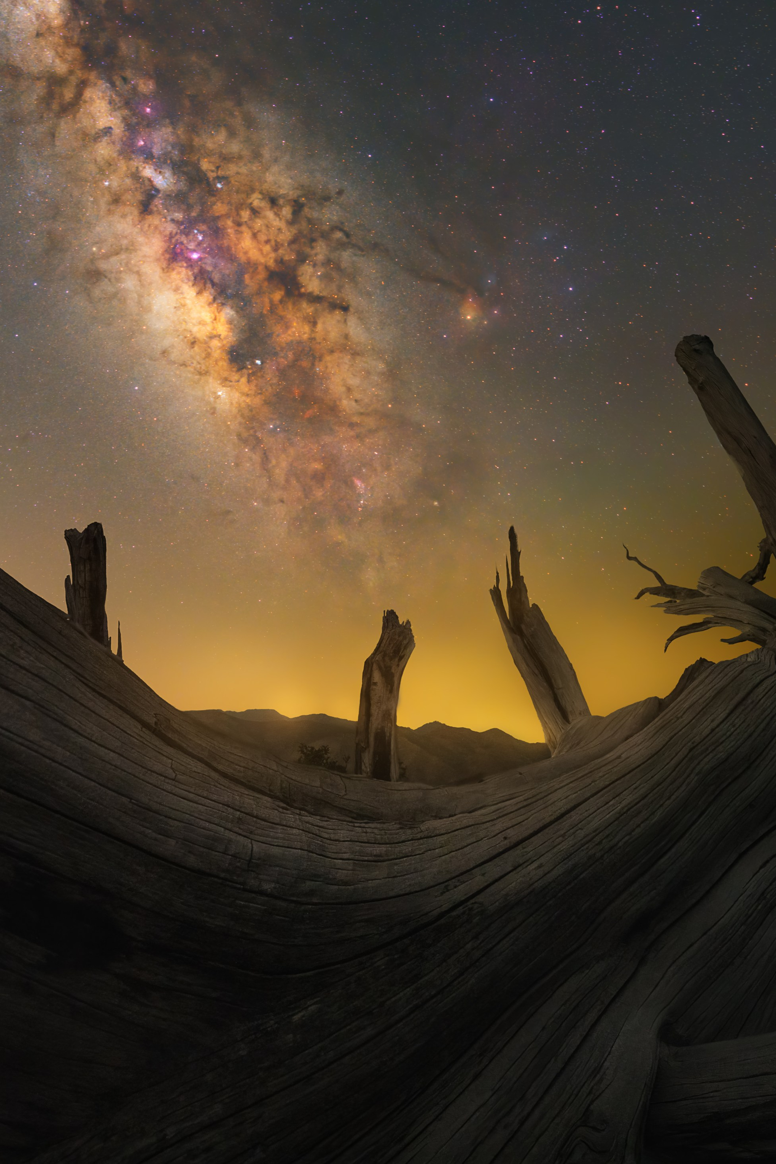 AI Painting. Alireza Sahebi Photographer