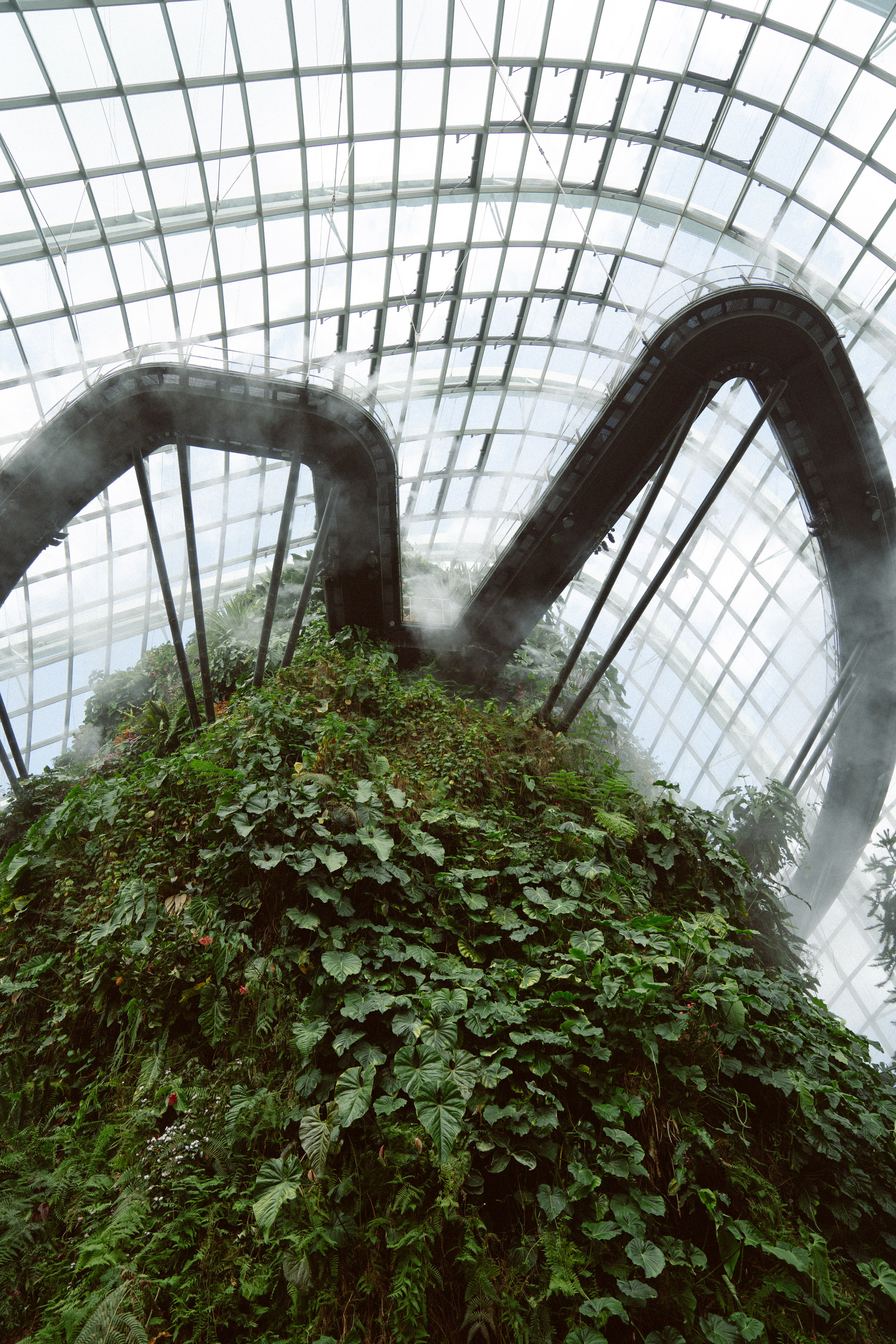 Locations. Dasha in Singapore