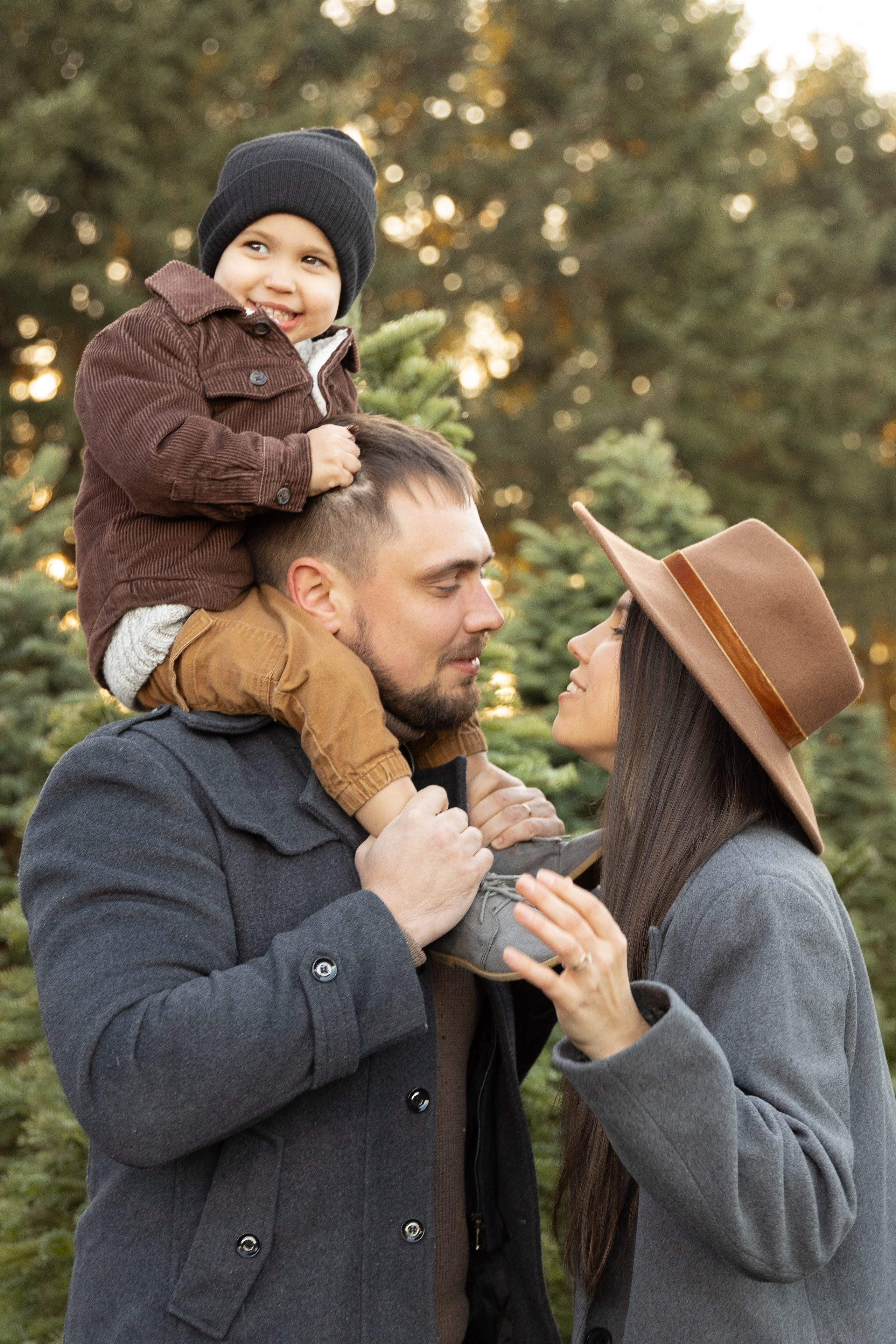 Christmas tree farm