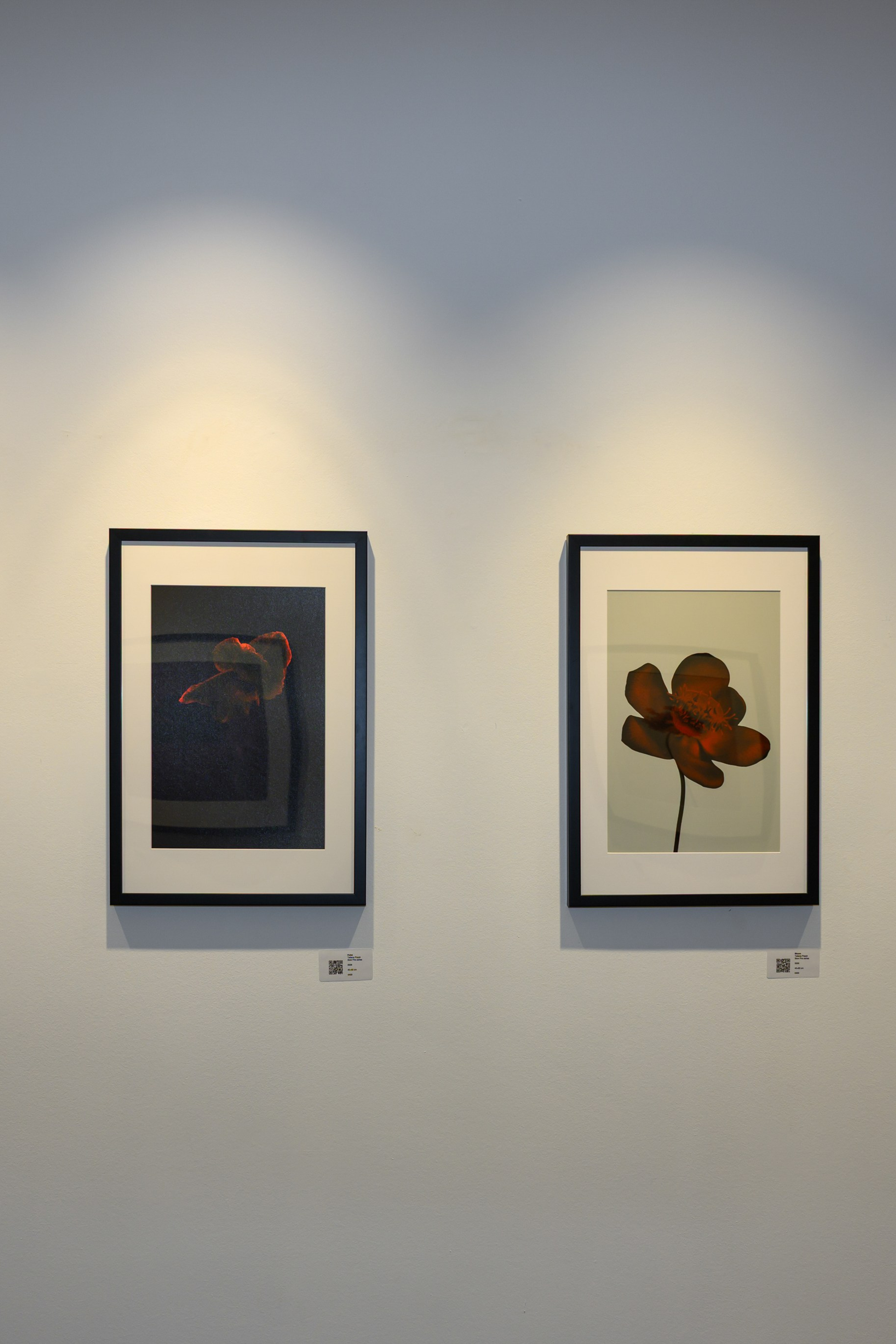 EXPOSITION “4 Dimensions” in Valentiny Foundation (2025), Remershen. Photographer in Luxembourg Tanita