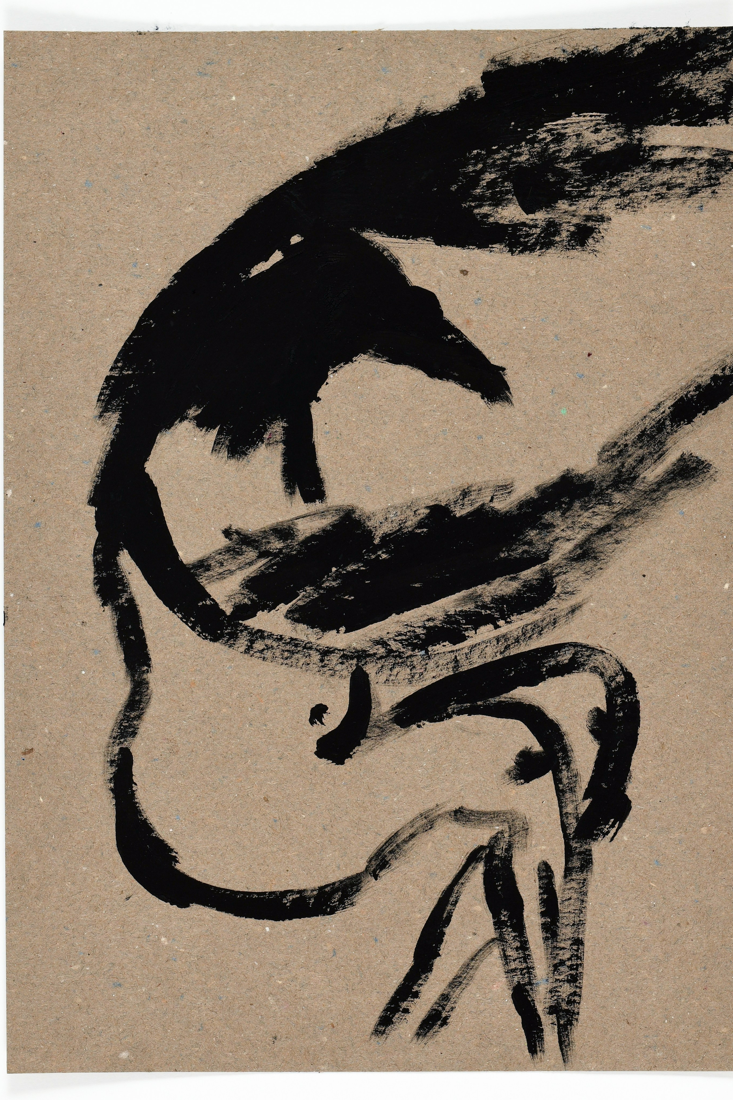 Birds and rats, 2020