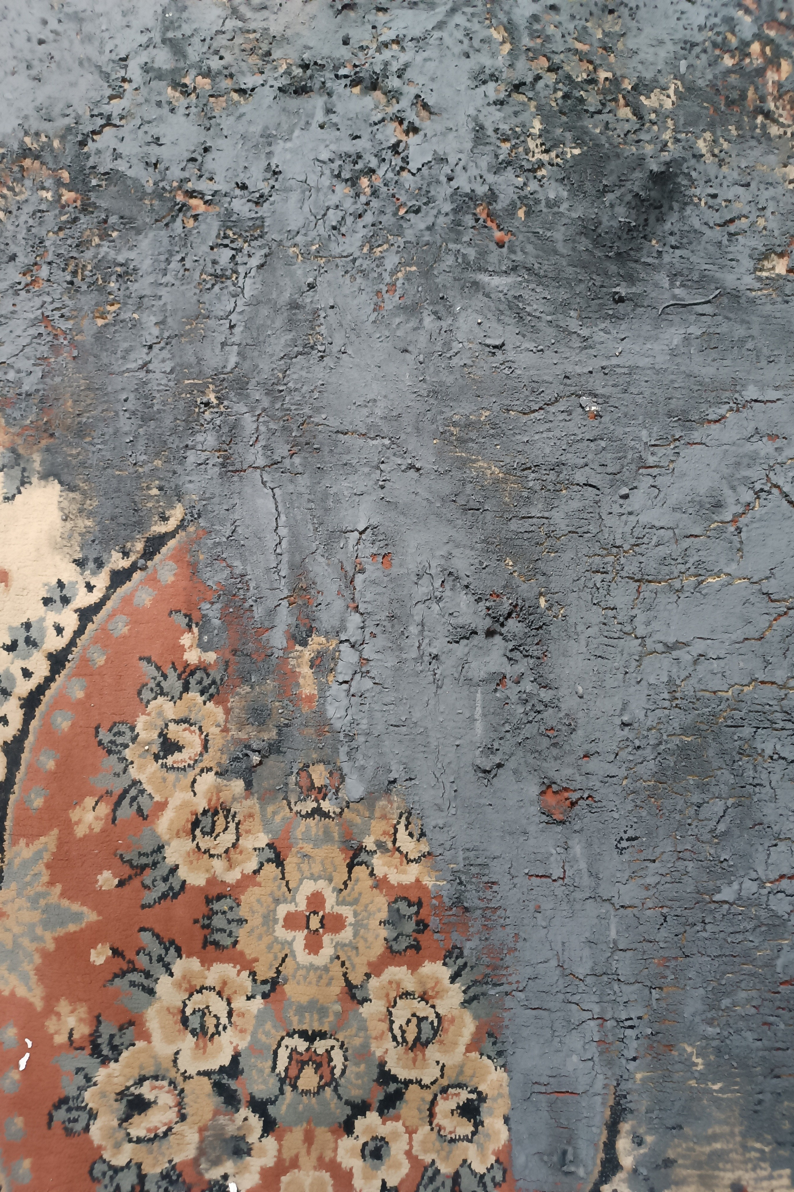 Untitled (Invasion), 2025