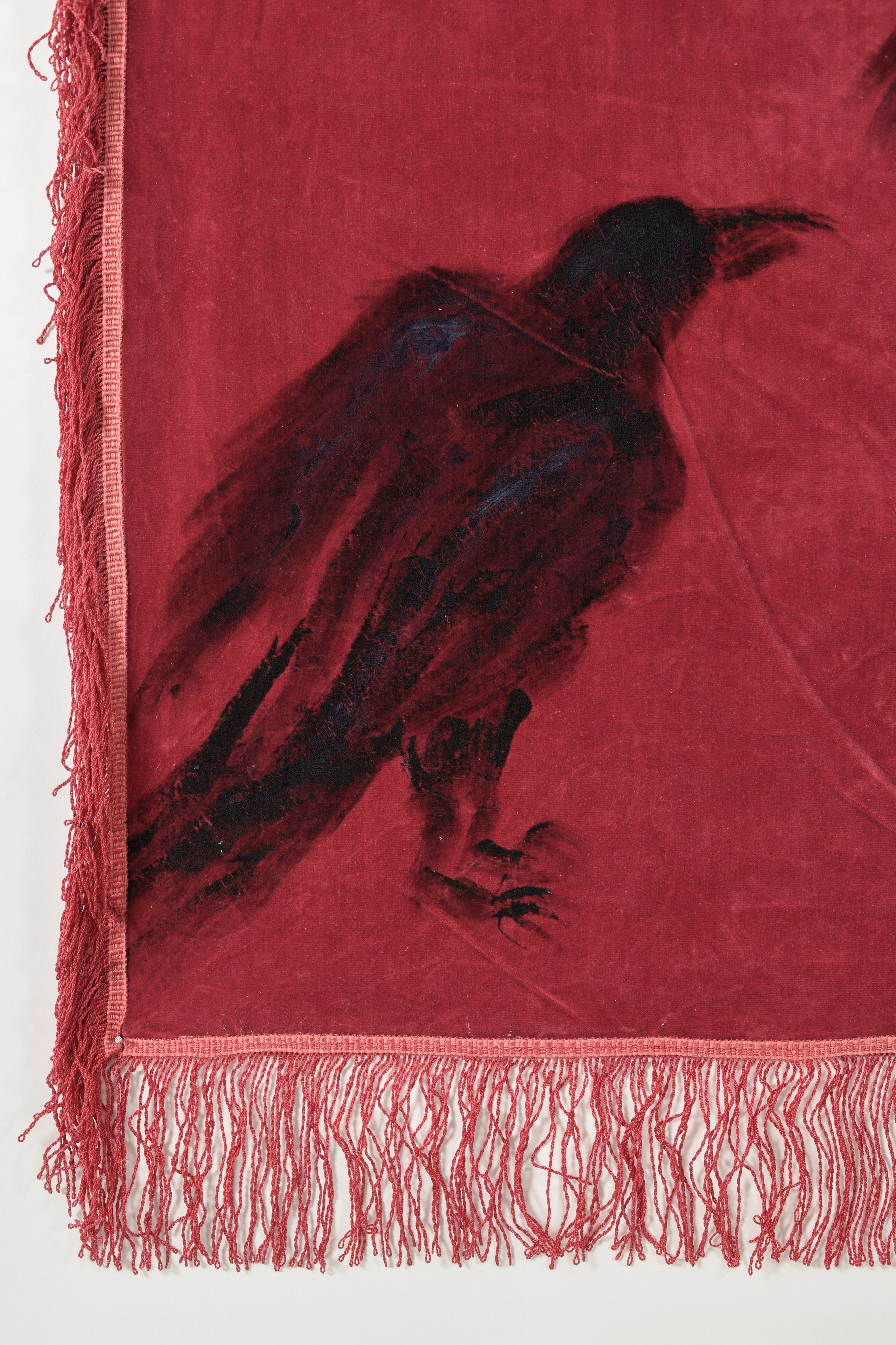 Birds, humans, animals, 2020-2022