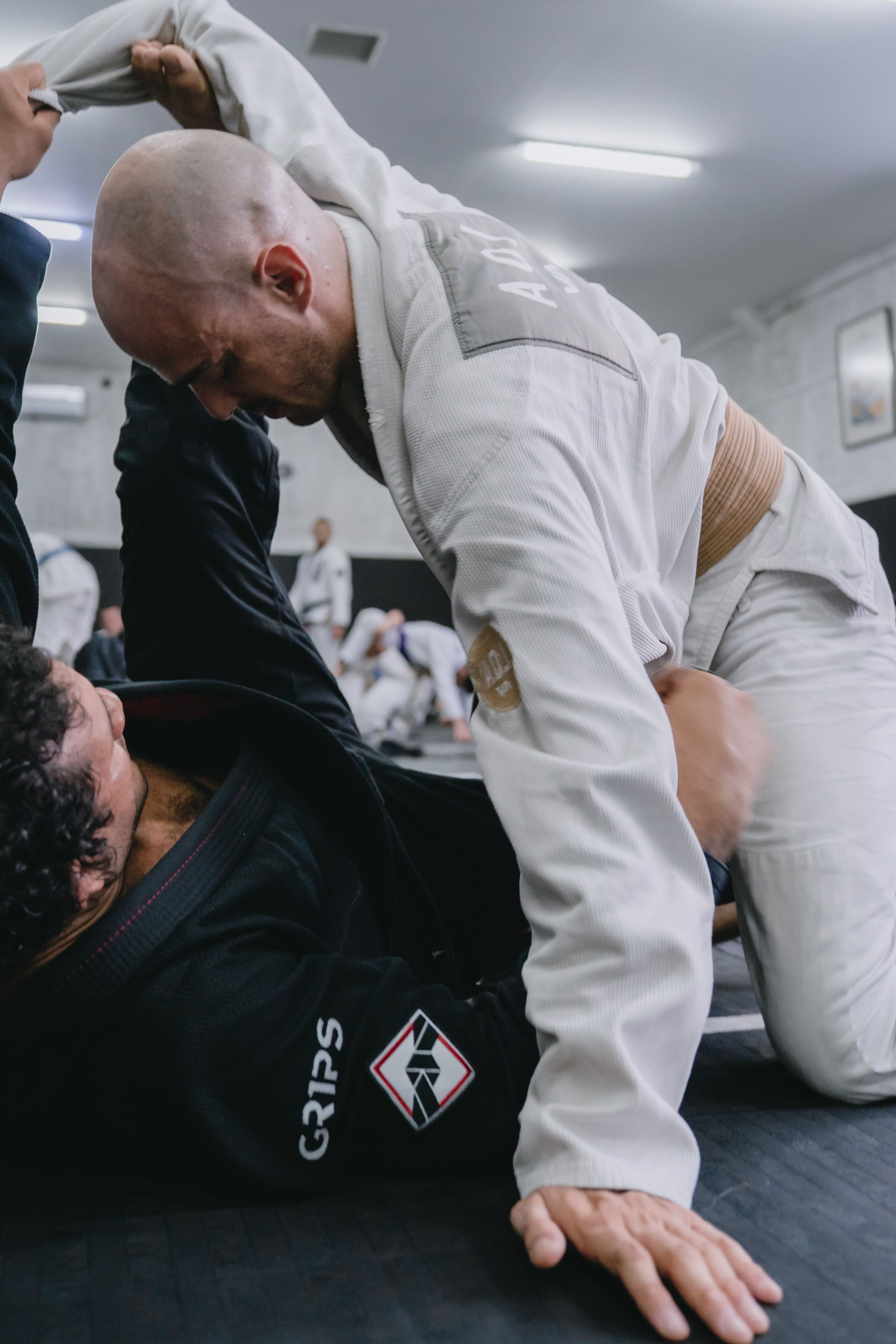 Lucas Barbosa 5X IBJJF Black Belt World Champion session for Al Leone. Коммьюнити фотограф, Москва, Сергей Зворыгин