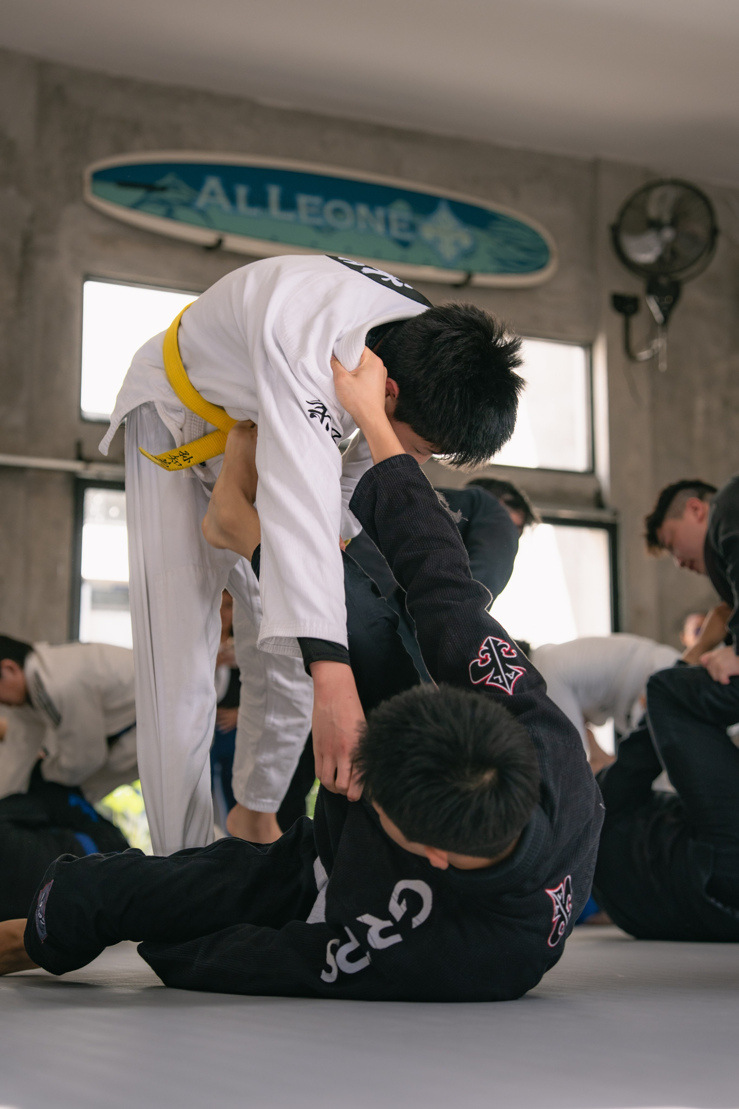 Lucas BARBOSA and Felipe PENA, a World, Pan American, European Open and Asian IBJJF champion. Коммьюнити фотограф, Москва, Сергей Зворыгин