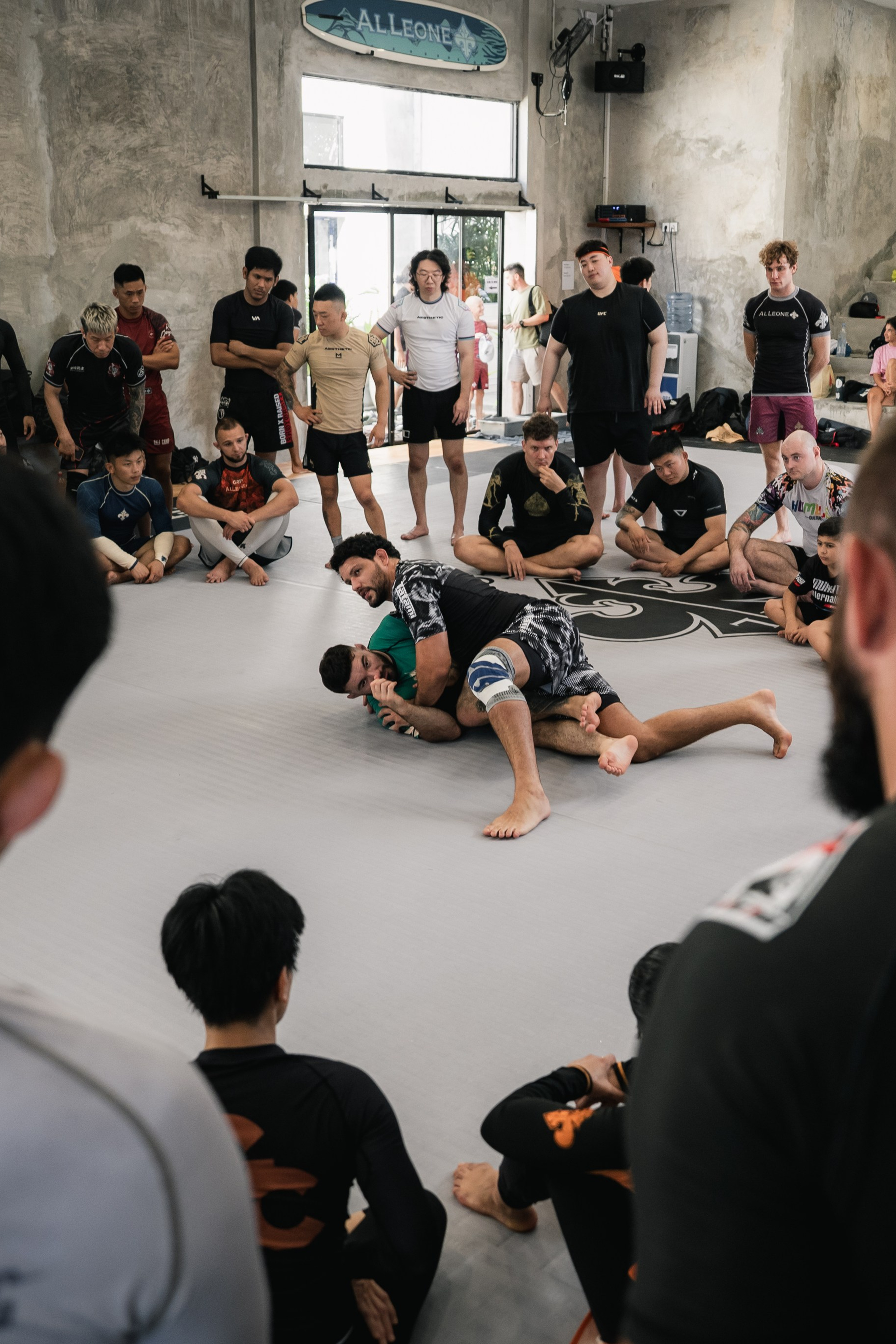 Felipe PENA and Demian MAIA, ADCC World Champions, BJJ training session. Коммьюнити фотограф, Москва, Сергей Зворыгин