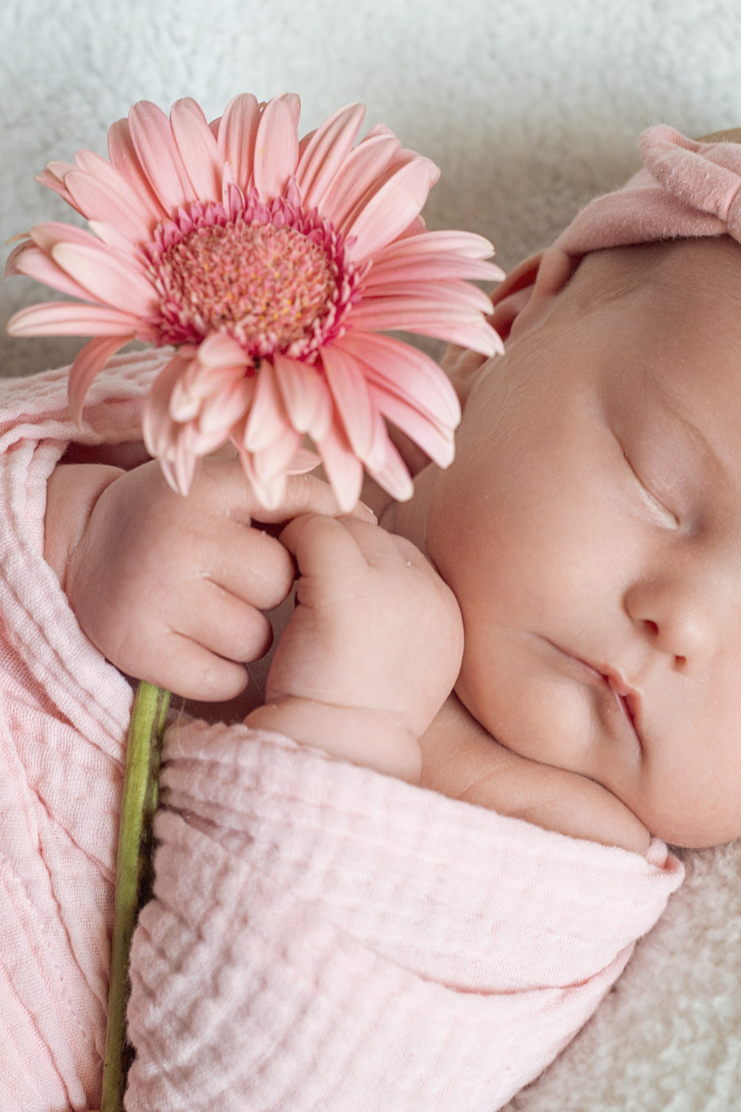Victoire. Photographe professionnelle de la ville d’Auxerre - Ekaterina Mathieu
