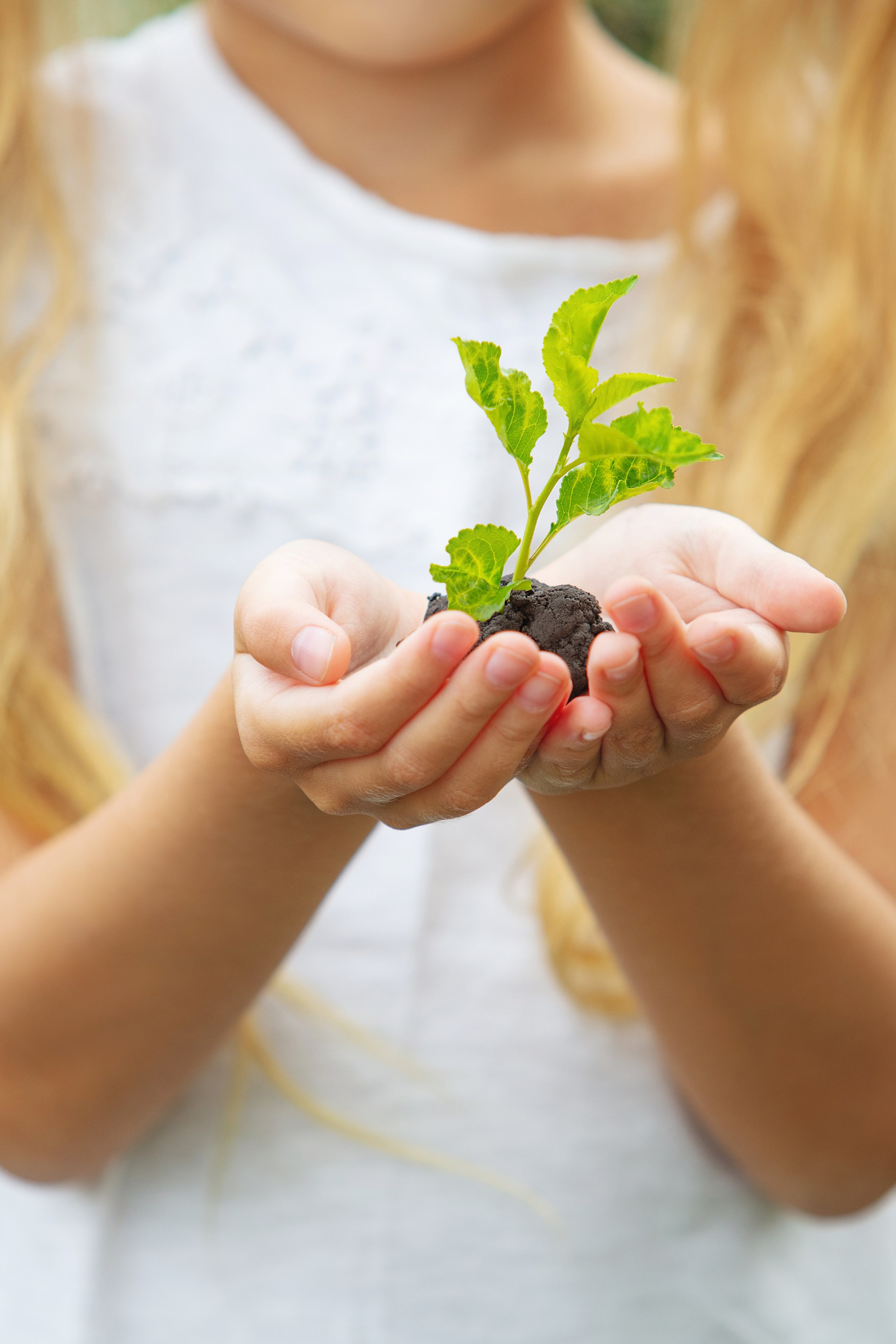 Inspiration estivale. Photographe professionnelle de la ville d’Auxerre - Ekaterina Mathieu