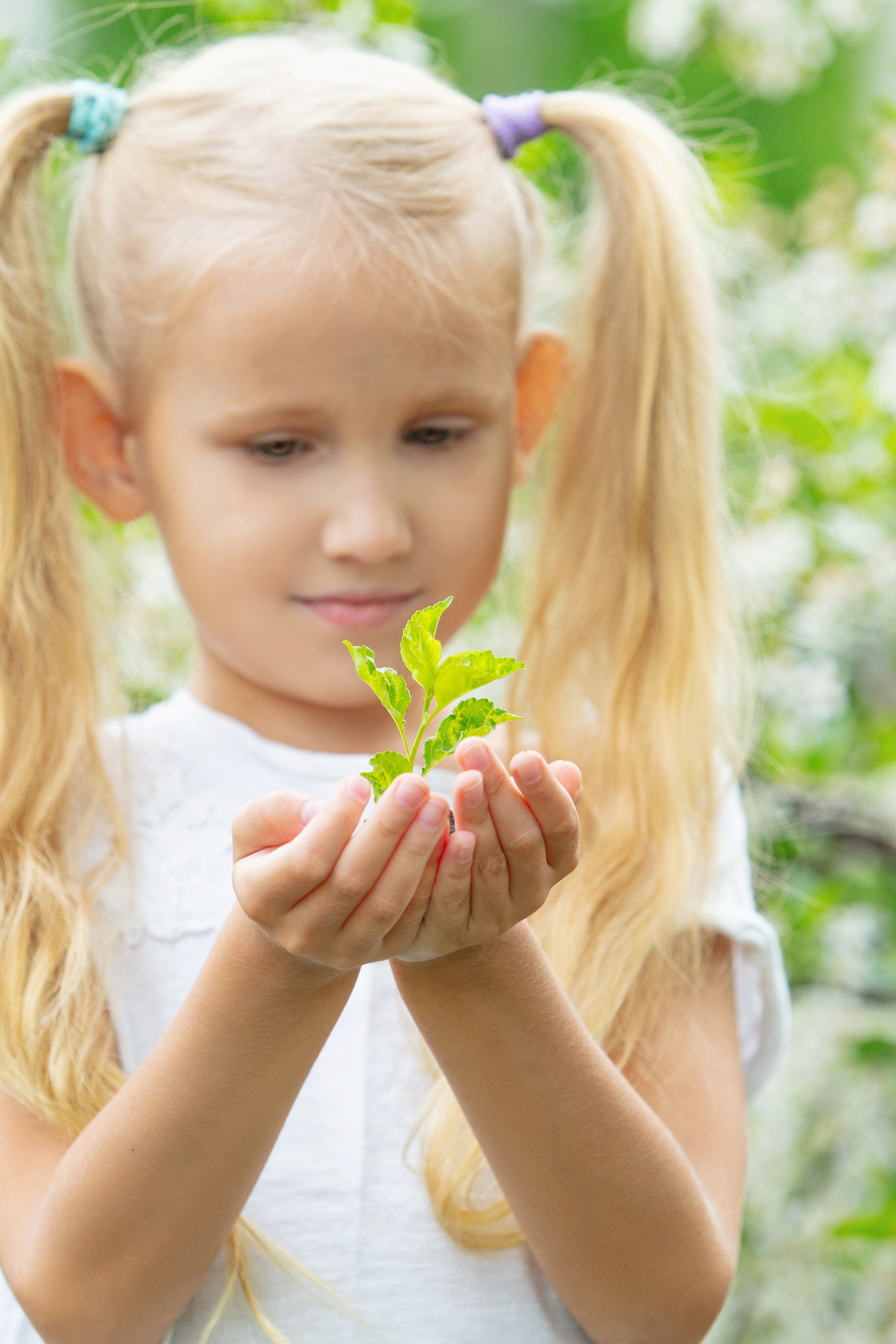Inspiration estivale. Photographe professionnelle de la ville d’Auxerre - Ekaterina Mathieu