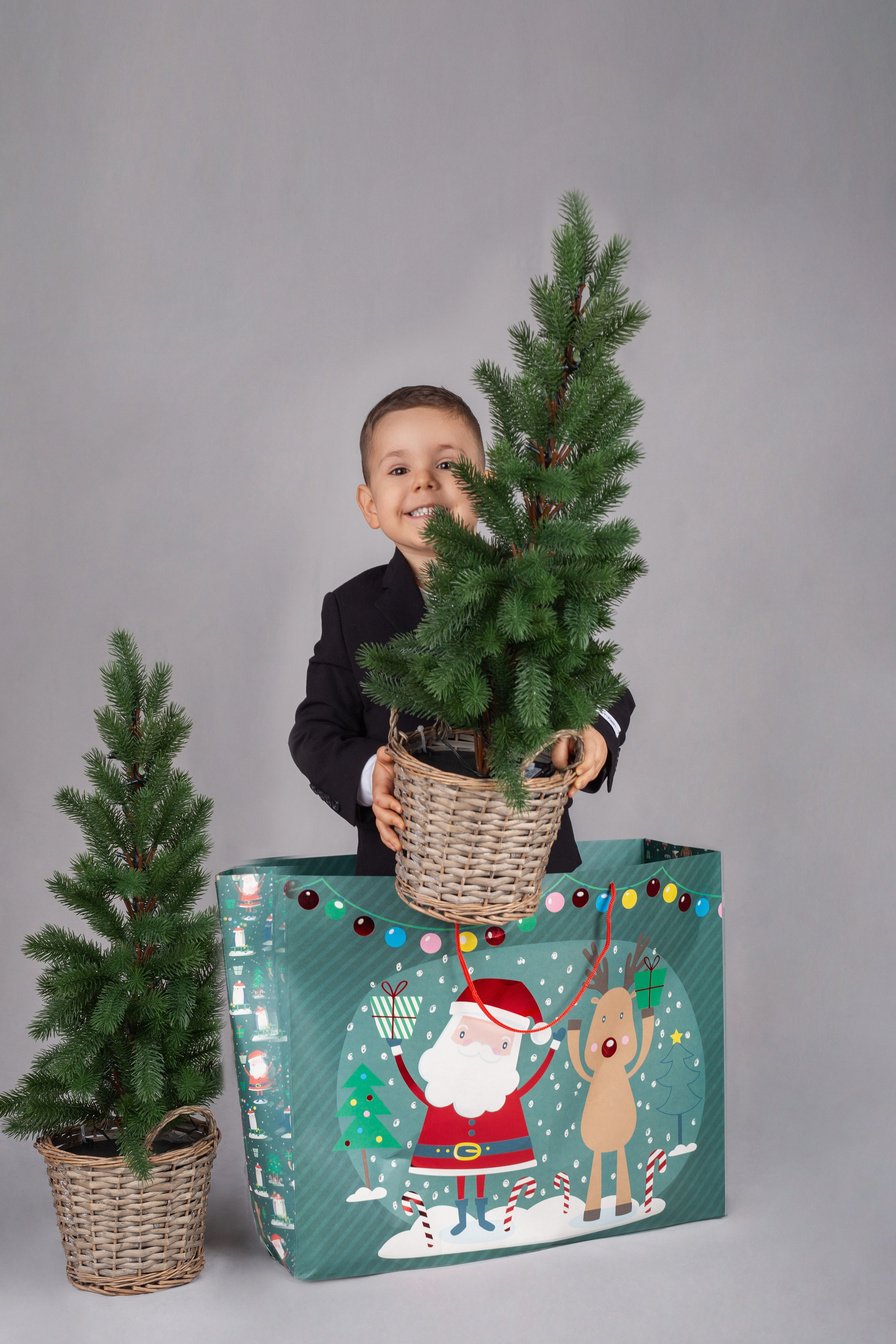 Noël 2024. Photographe professionnelle de la ville d’Auxerre - Ekaterina Mathieu