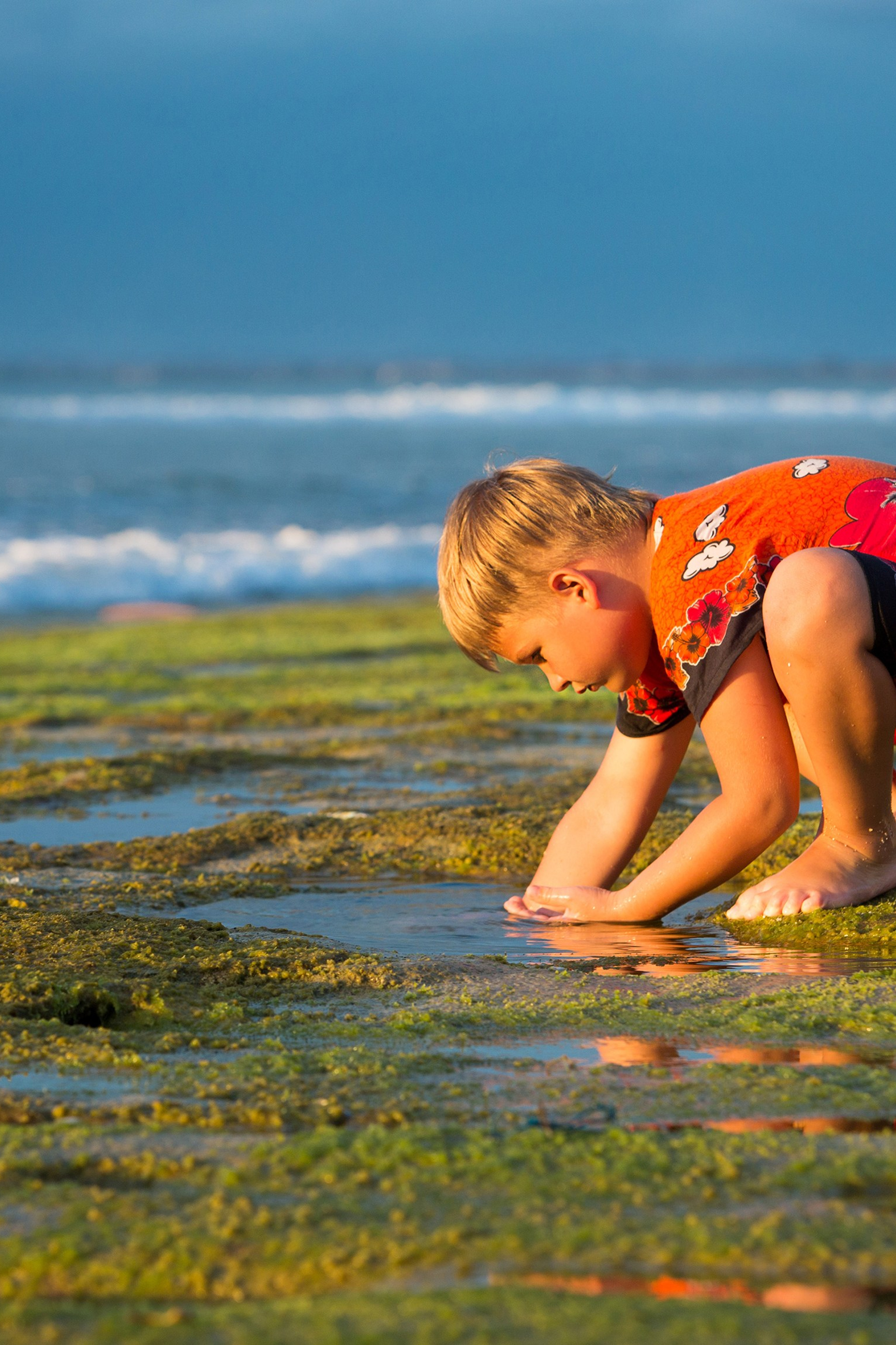En explorant de nouveaux horizons. Photographe professionnelle de la ville d’Auxerre - Ekaterina Mathieu