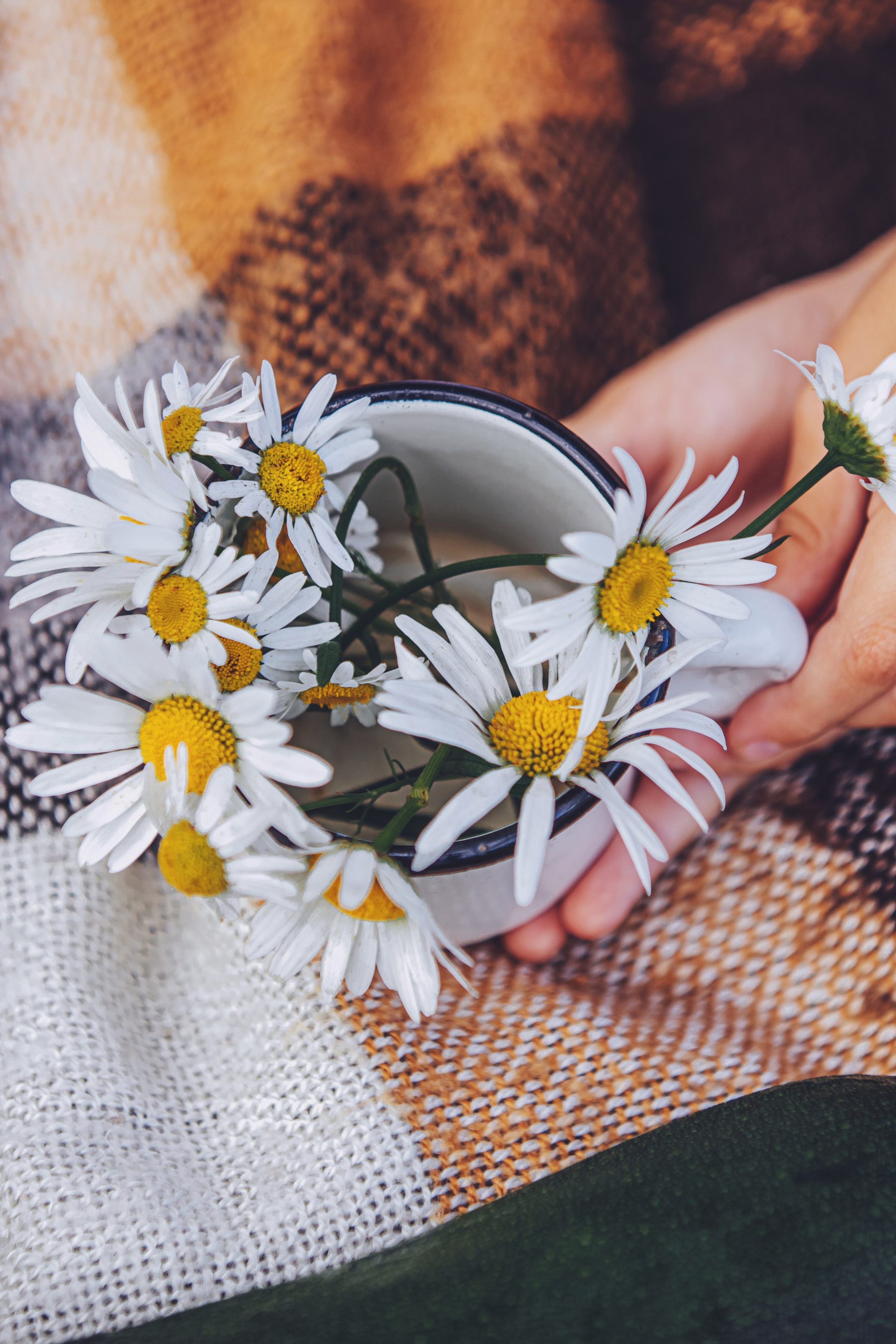Inspiration estivale. Photographe professionnelle de la ville d’Auxerre - Ekaterina Mathieu