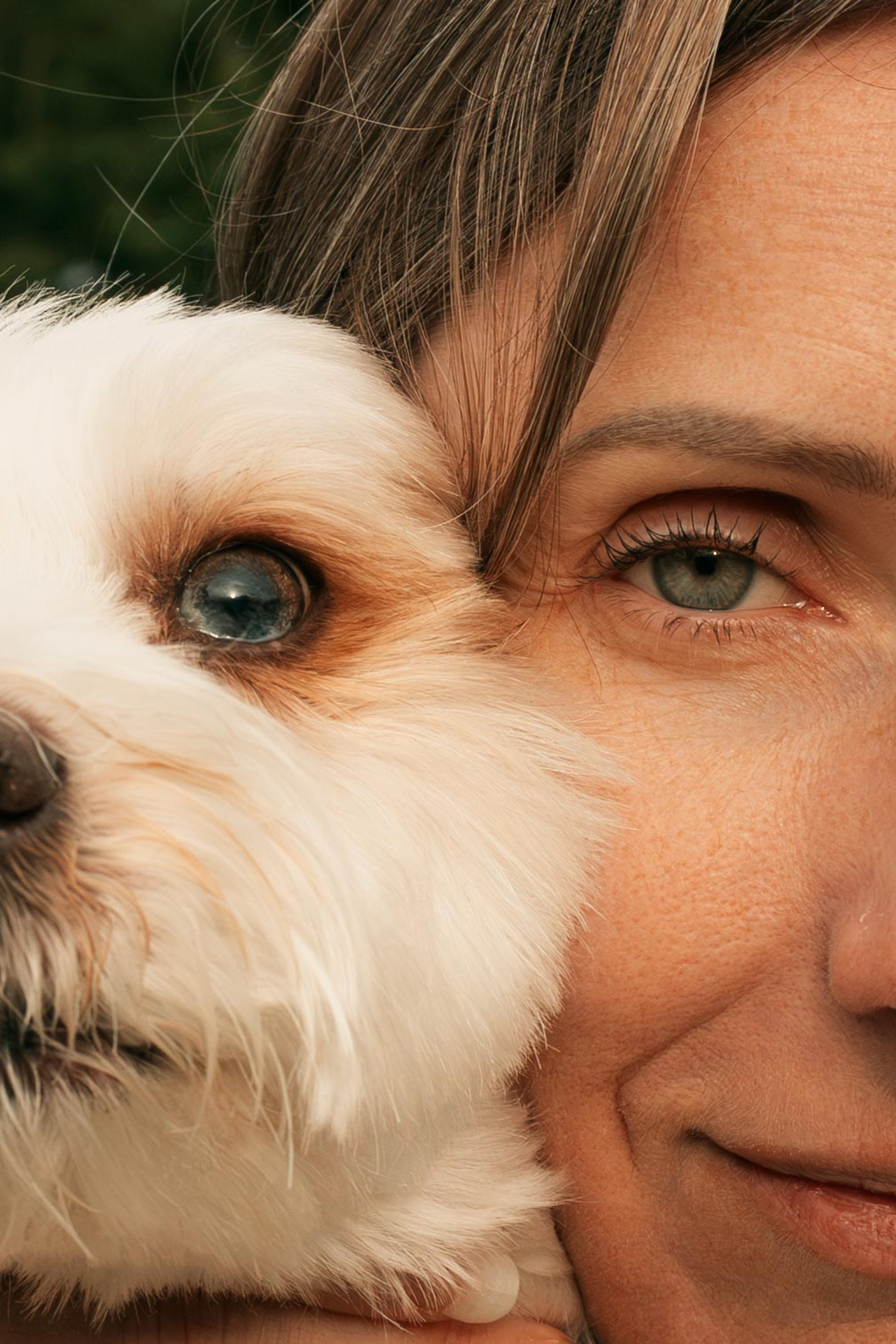 PET & OWNER