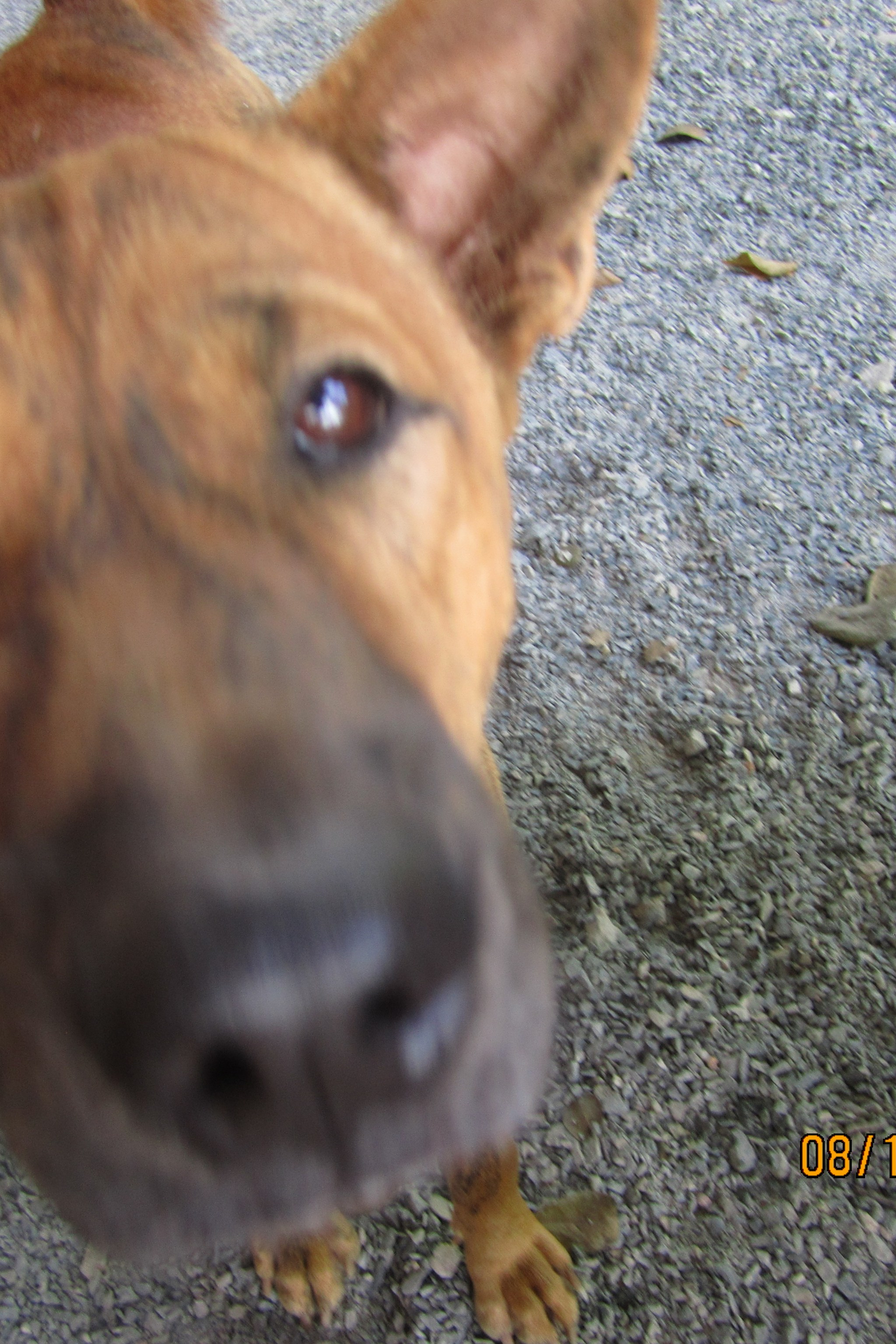 VIET NAM. LondoSpeed Photography