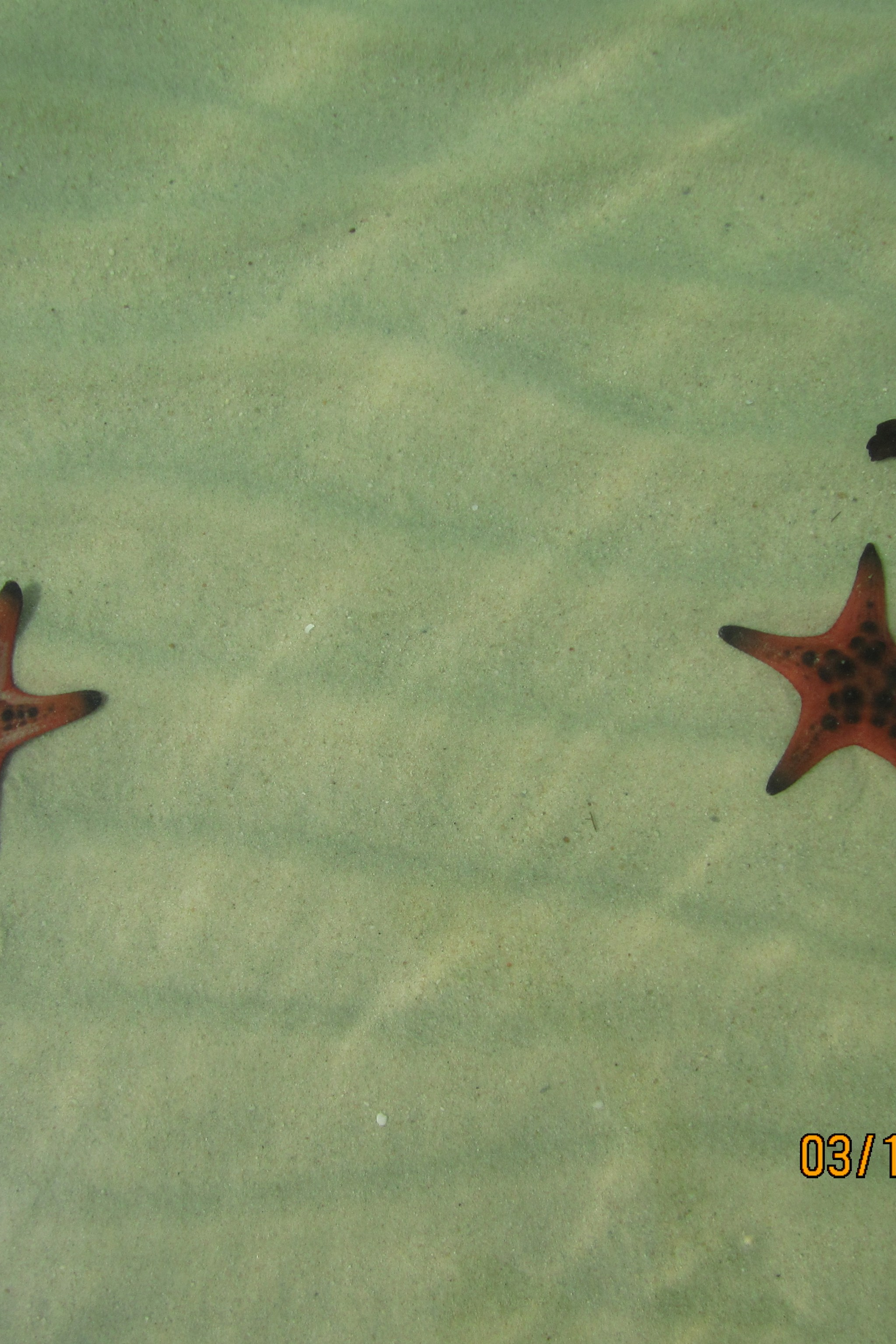 LondoSpeed Photography