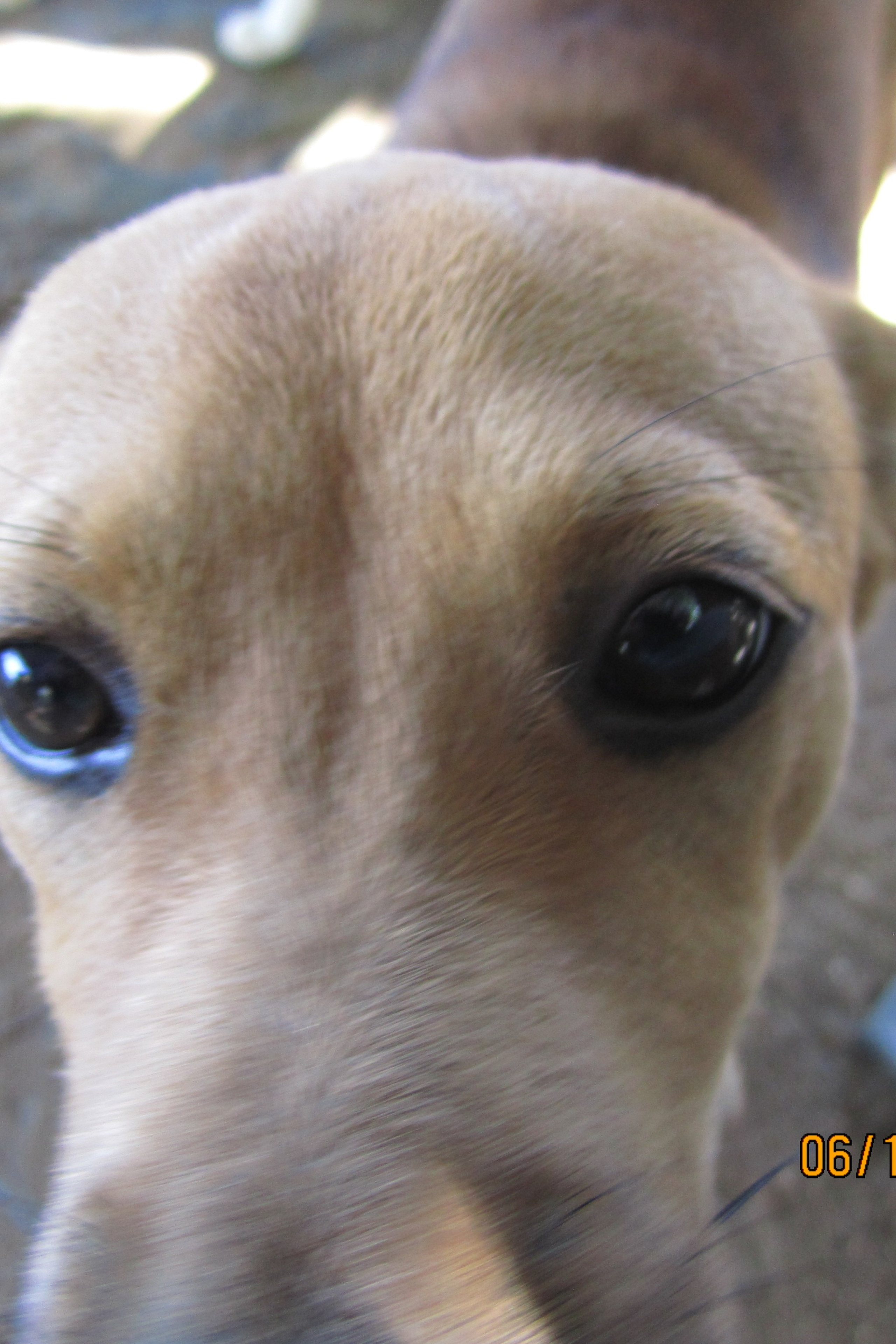 LondoSpeed Photography