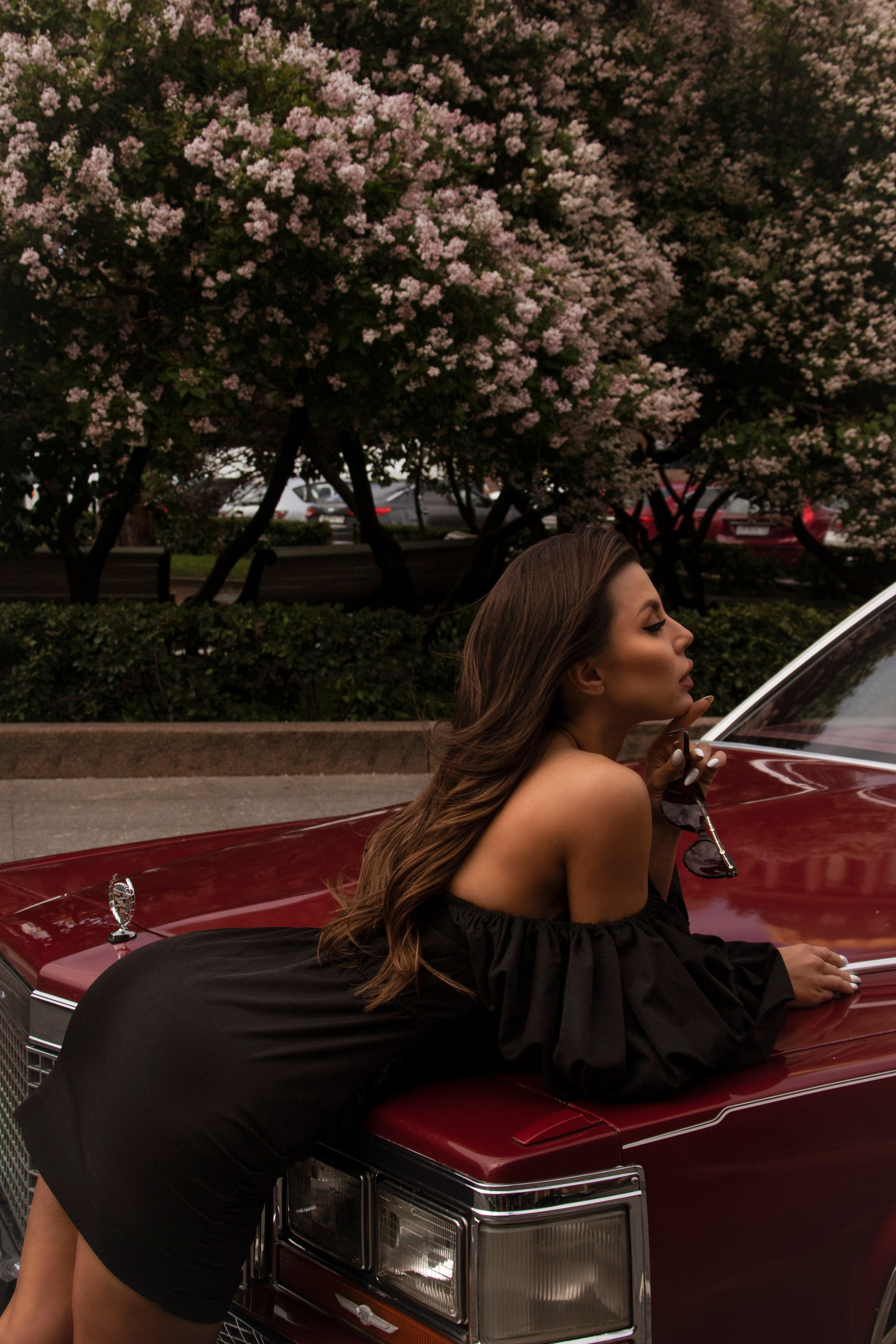 Elegance. Aesthetic Photographer VICTORIA DERIO