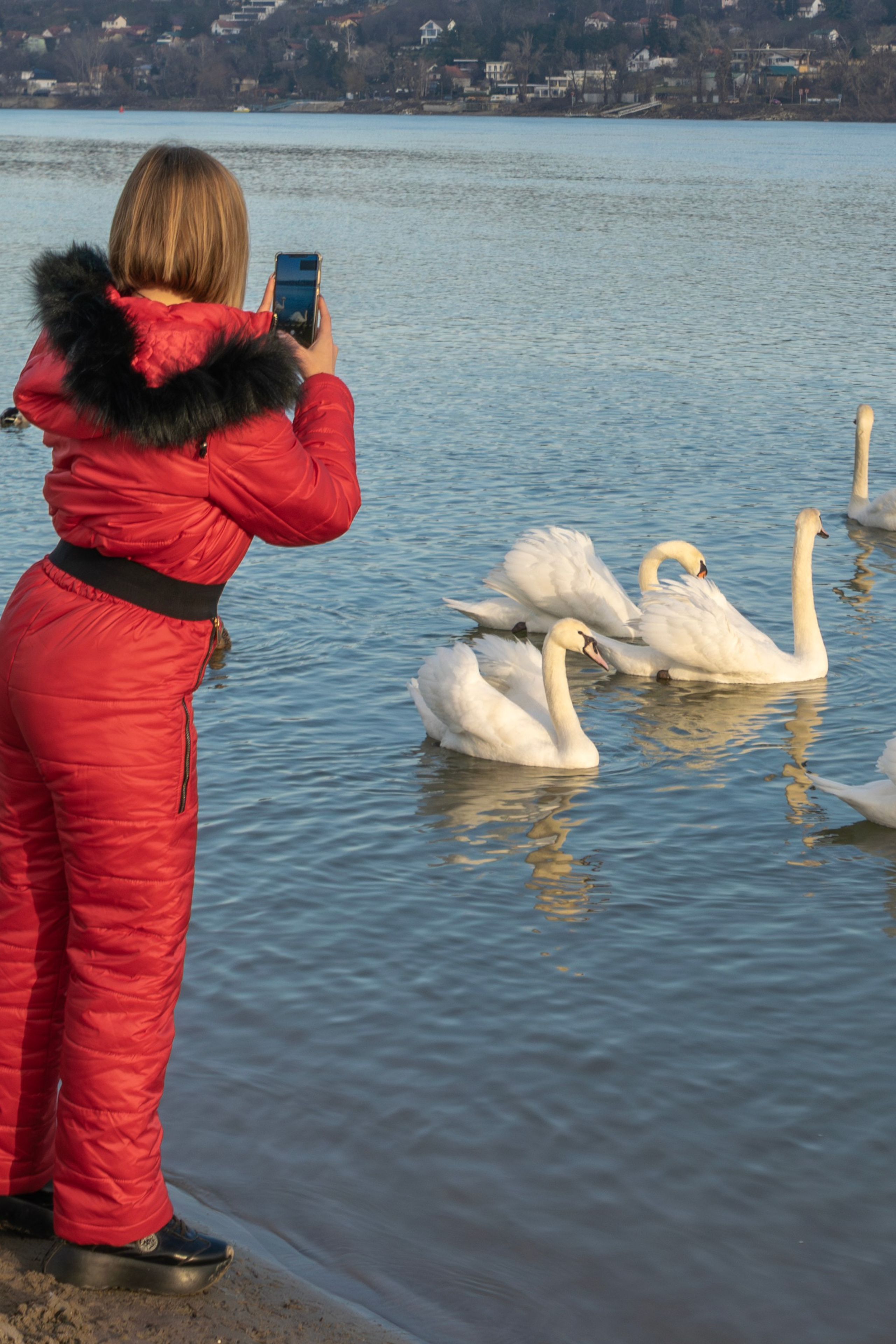 Шетња са фотографом у Новом Саду, Србија