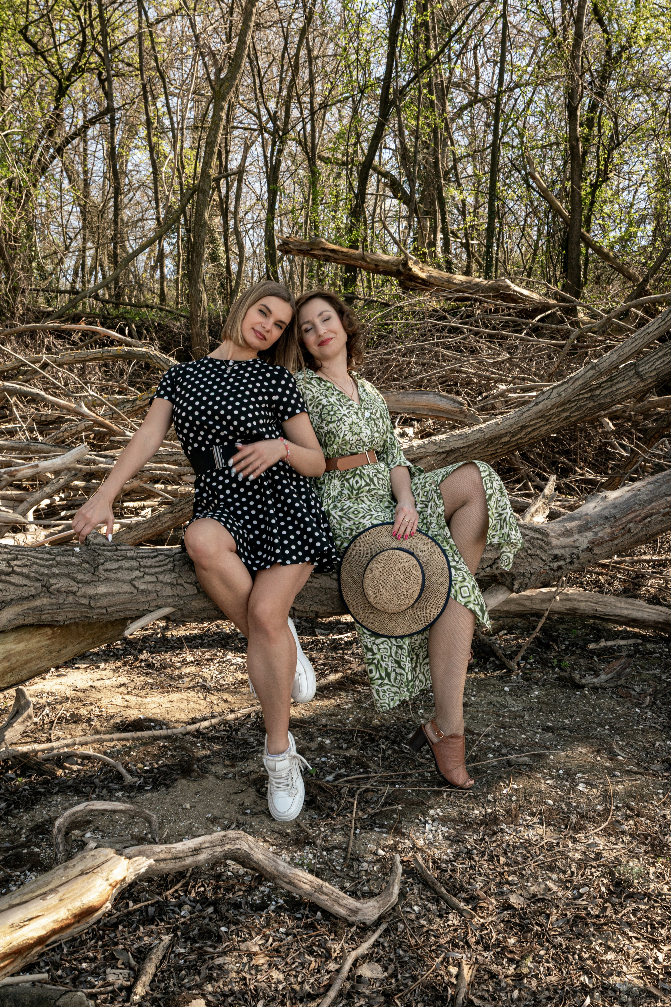 Спокој Дунава