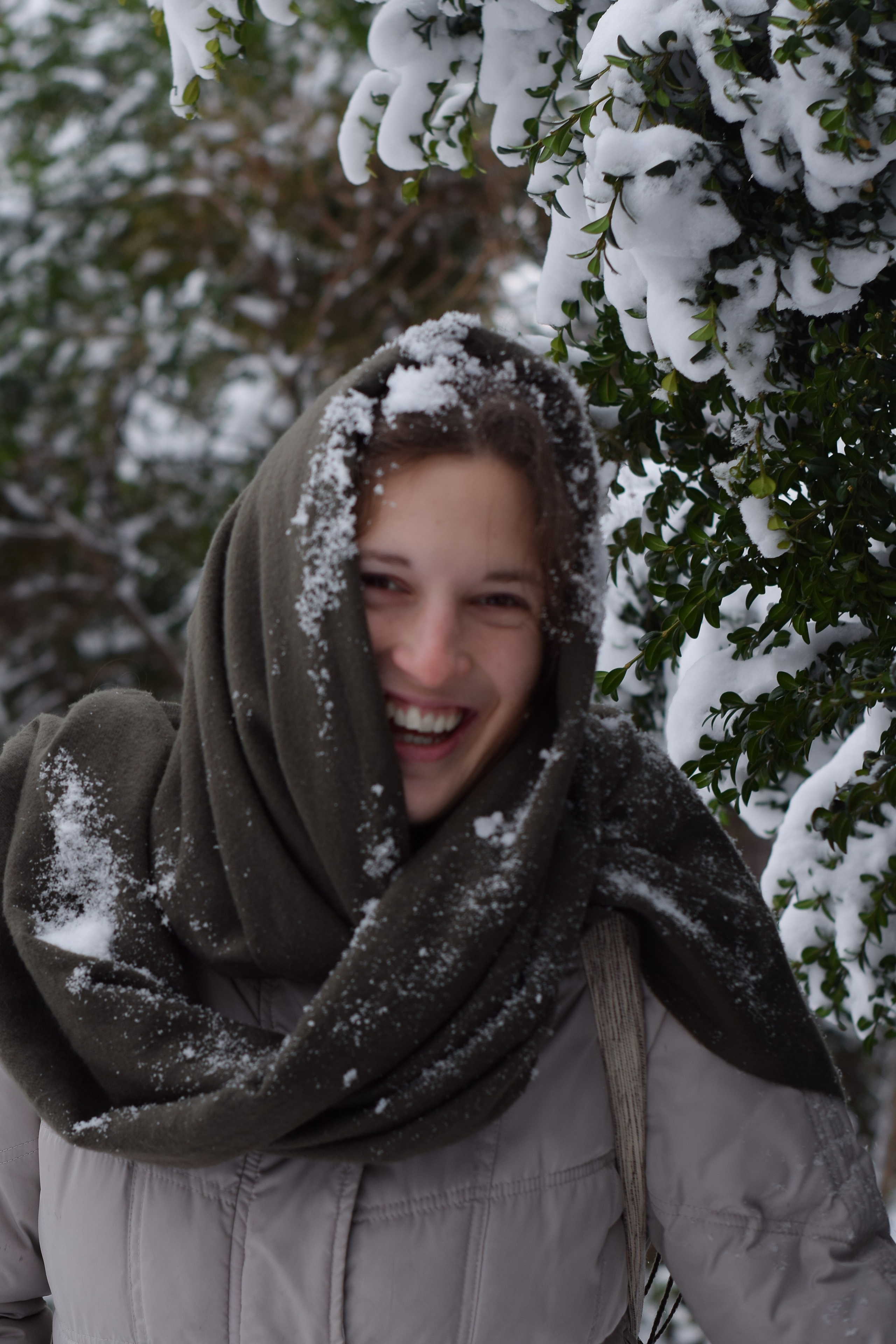 Први снег у Новом Саду…