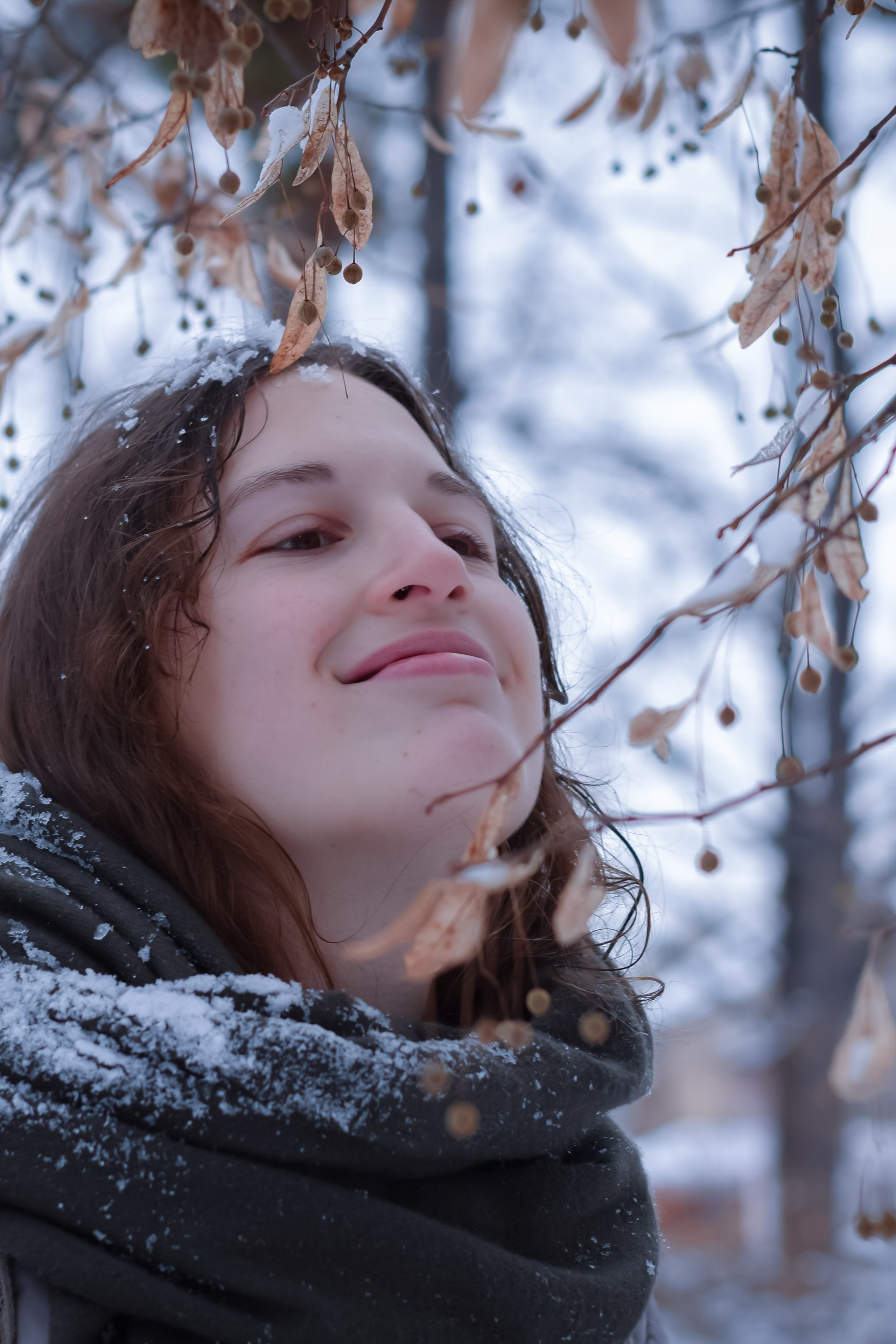 Первый снег в&nbsp;Нови-Саде…