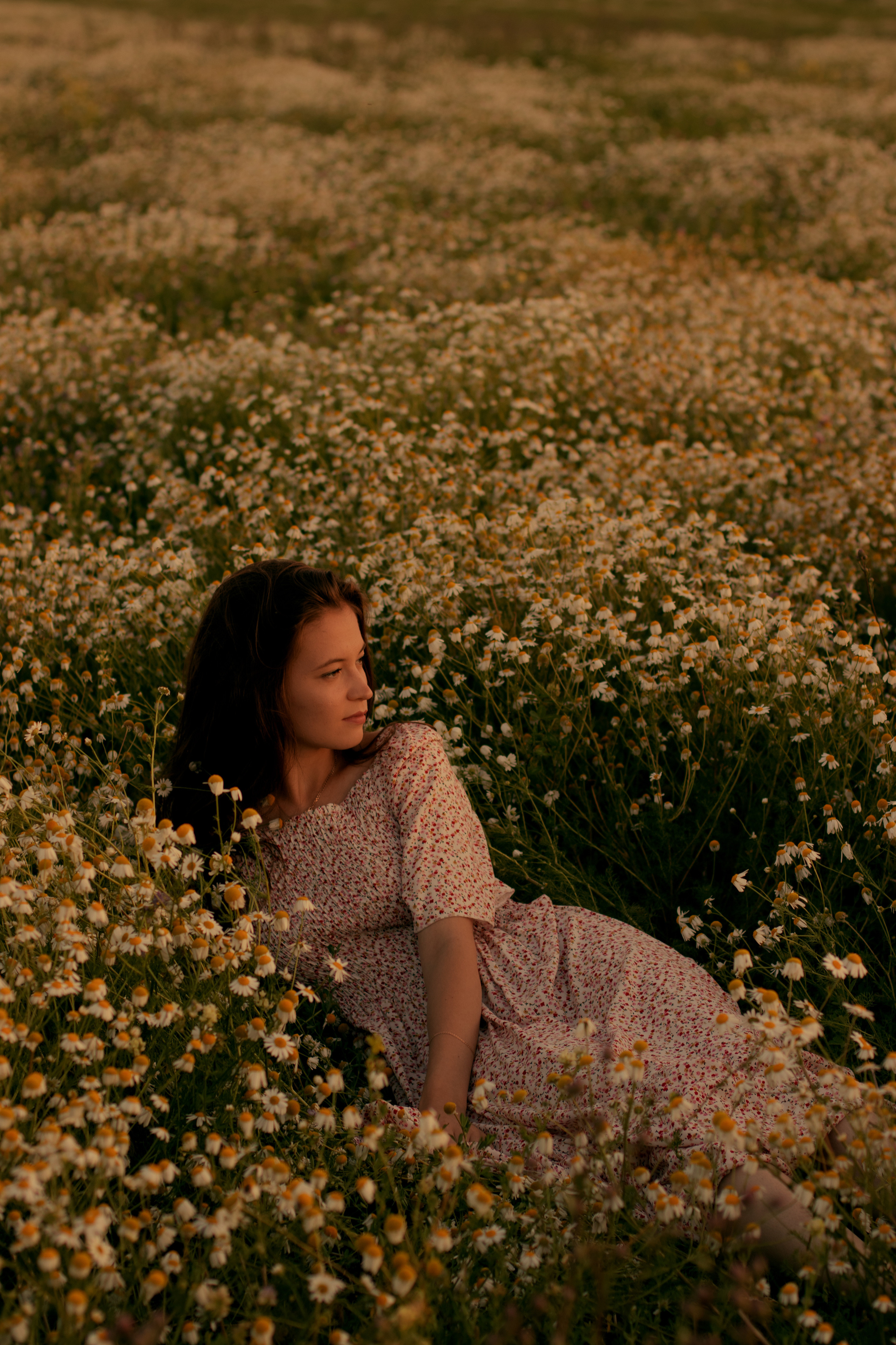 Брызги солнца на лугу. Портретный фотограф в Алапаевске и Екатеринбурге