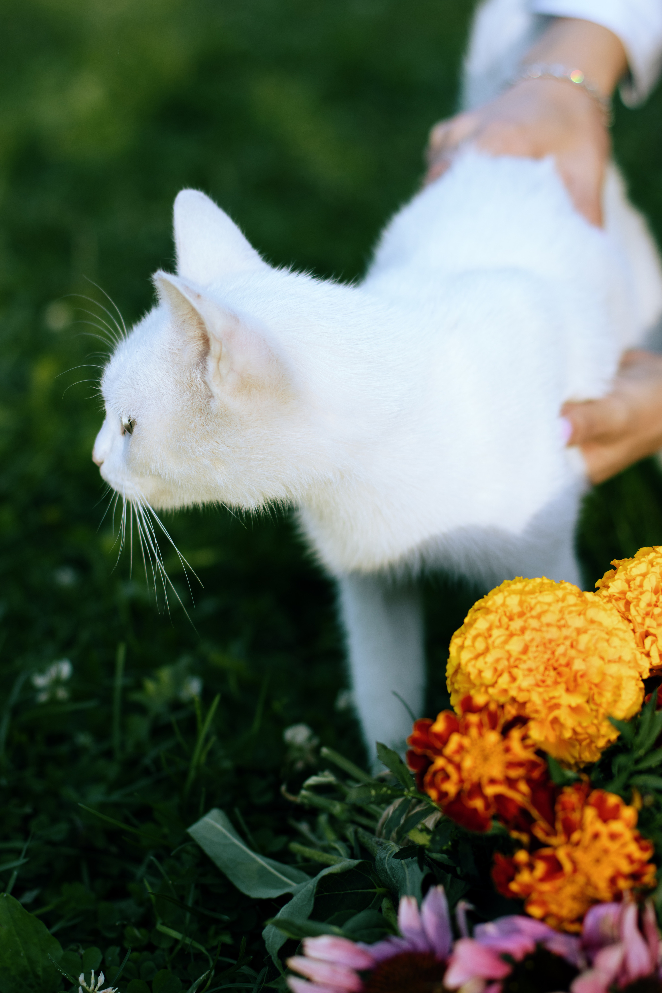 Ледники растают…. Портретный фотограф в Алапаевске и Екатеринбурге