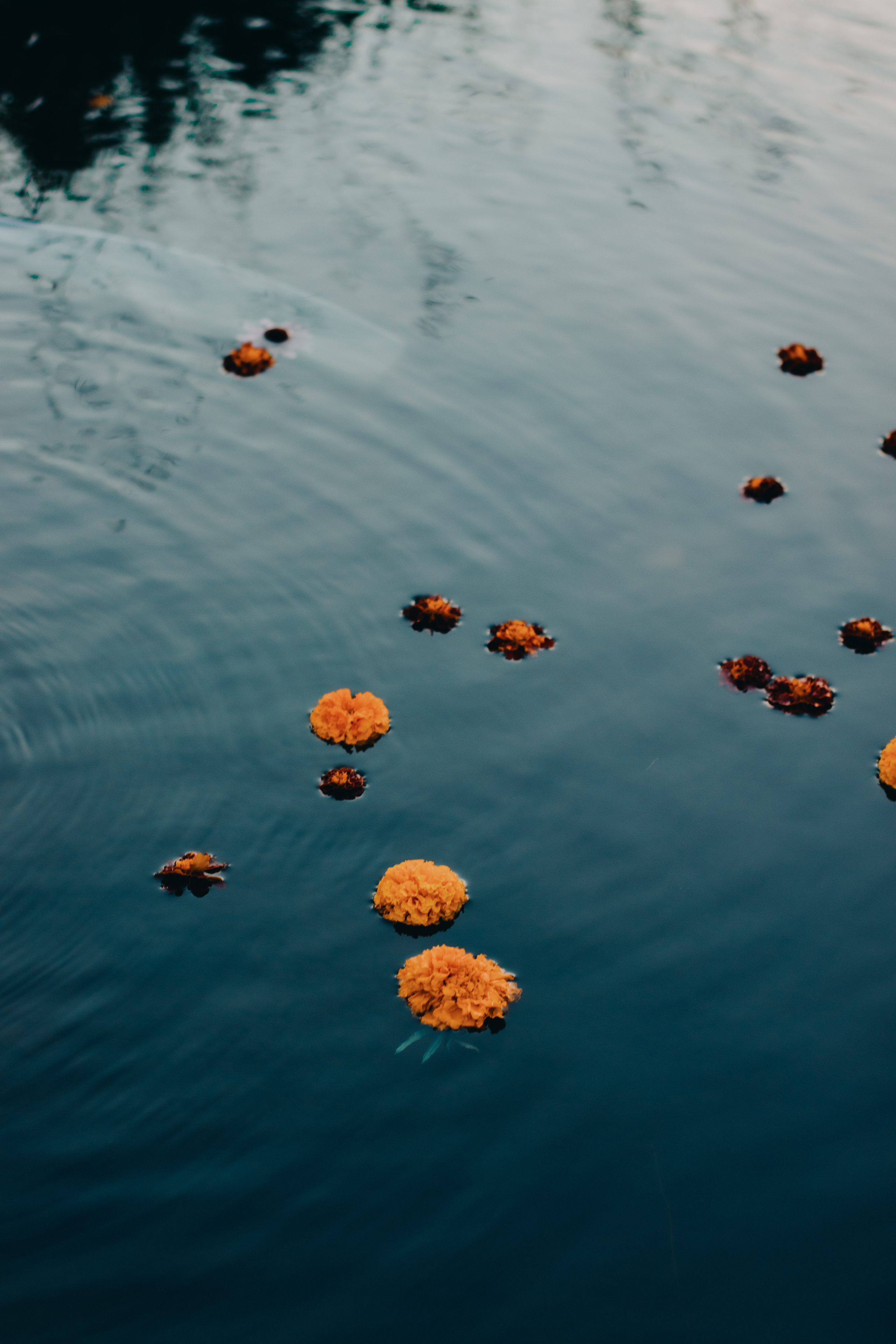 Ледники растают…. Портретный фотограф в Алапаевске и Екатеринбурге