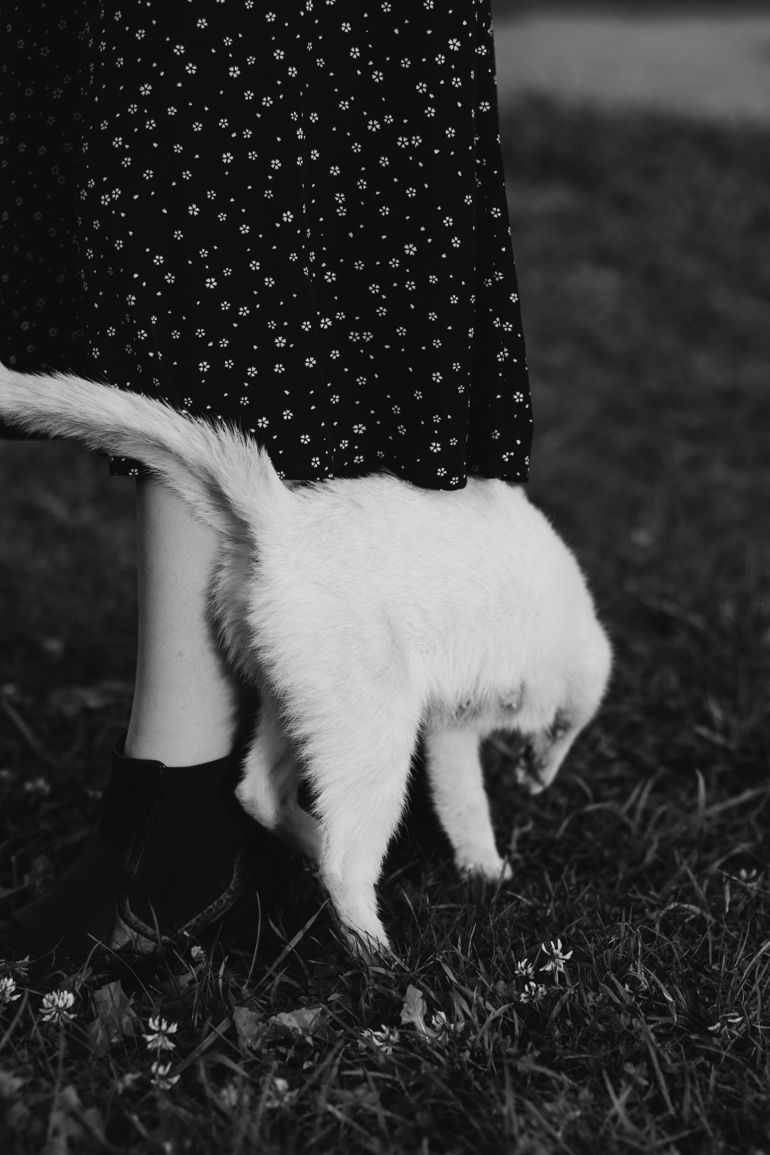 Ледники растают…. Портретный фотограф в Алапаевске и Екатеринбурге