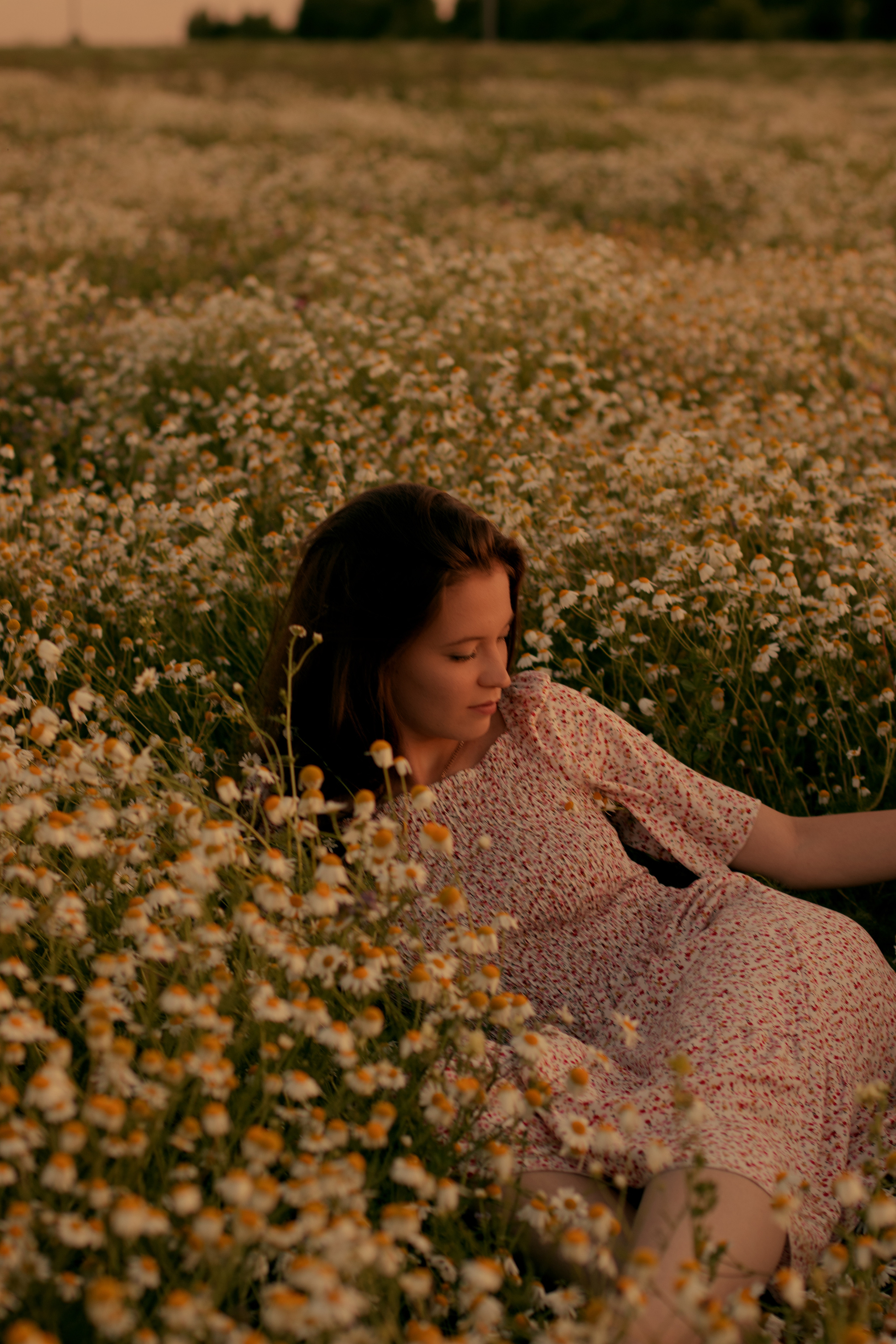 Брызги солнца на лугу. Портретный фотограф в Алапаевске и Екатеринбурге