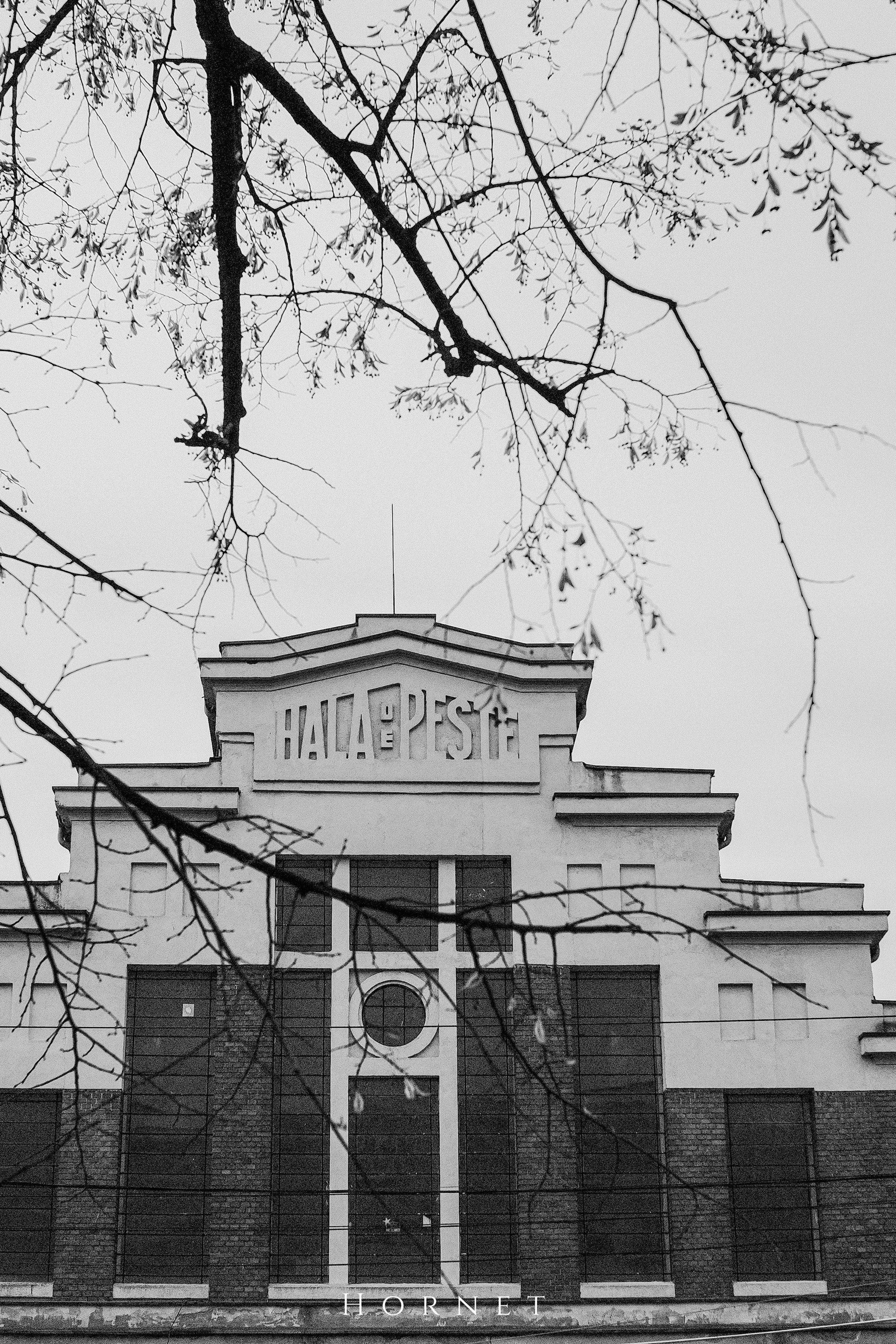 7.01.2025 Ploiesti | Romania