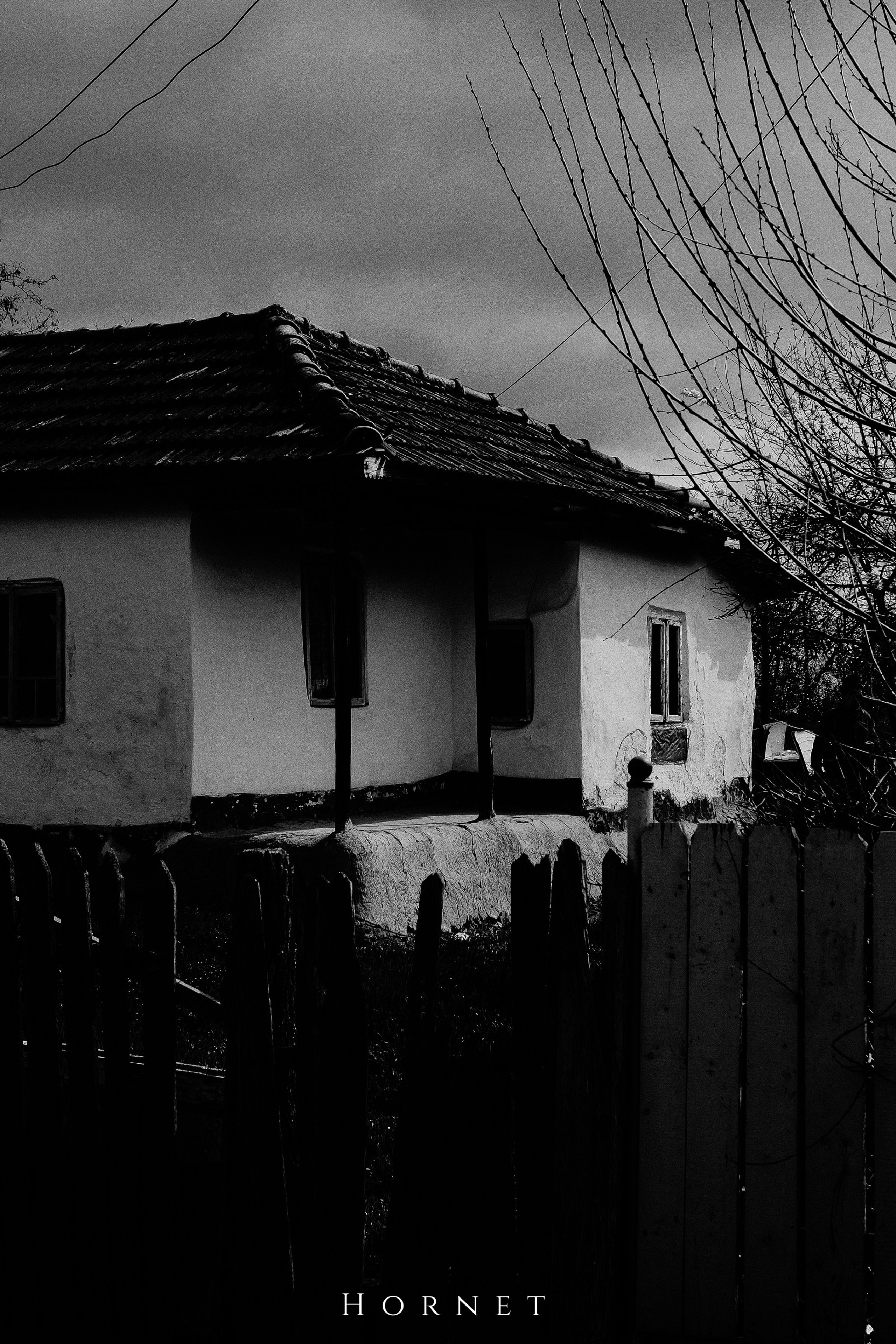 30.03.2025 Buzau | Romania