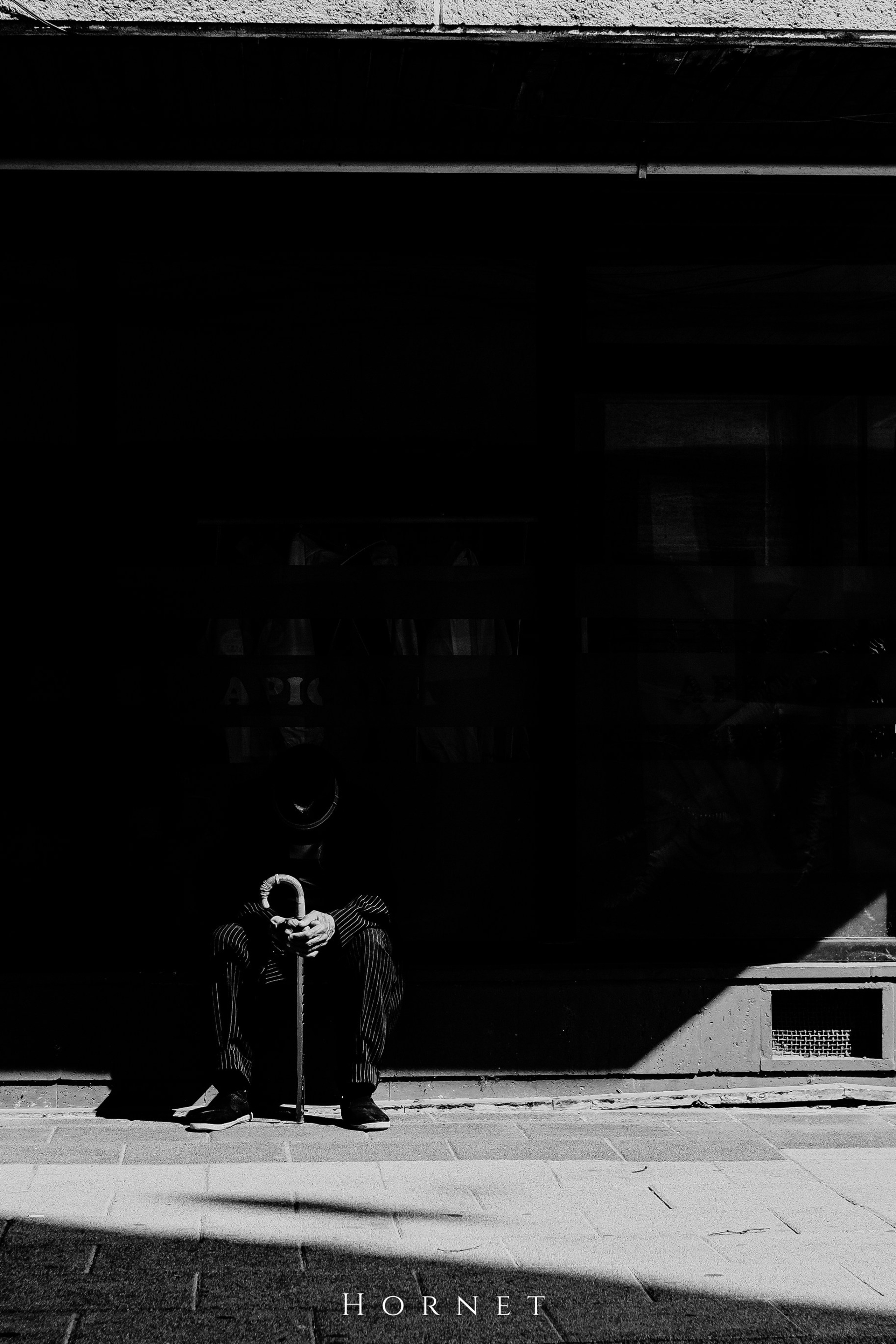 Triunghiurile Fotografiei. Hornetart