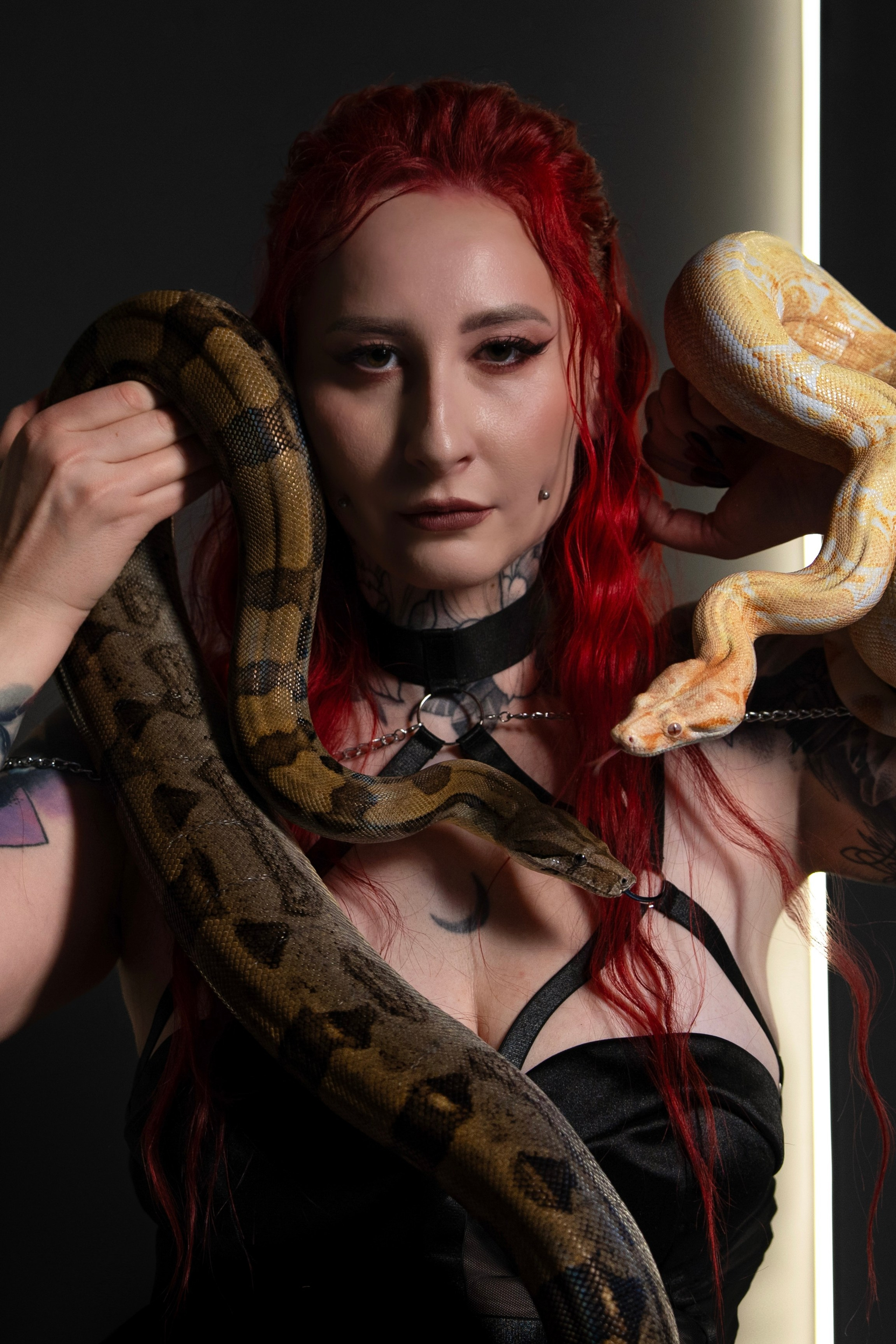 Рома Волков 🐍 Змеи в Варшаве