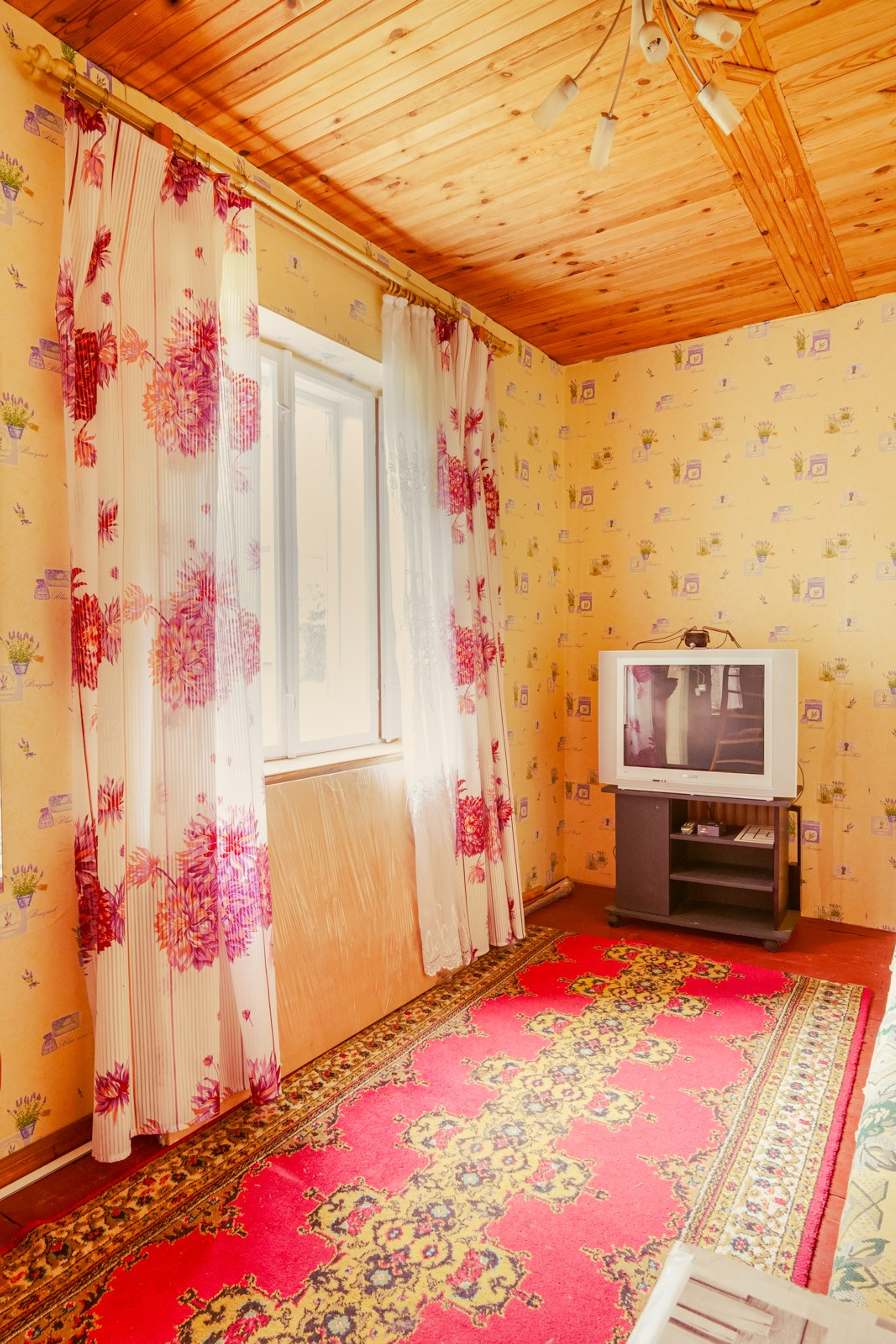 Šumskio g. 5. Elina Sapiega fotografė Vilniuje