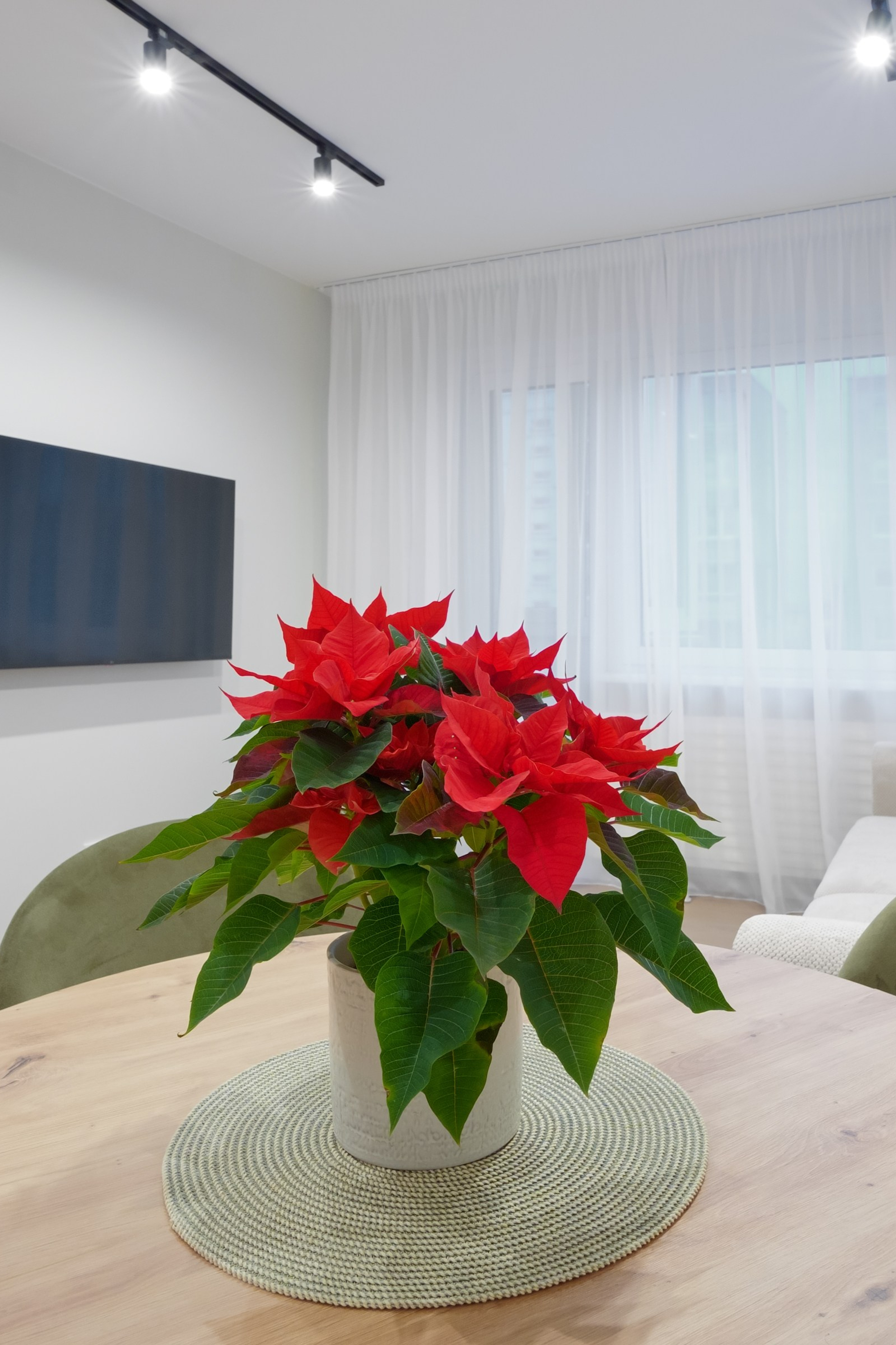 Trakų vokė. Elina Sapiega fotografė Vilniuje