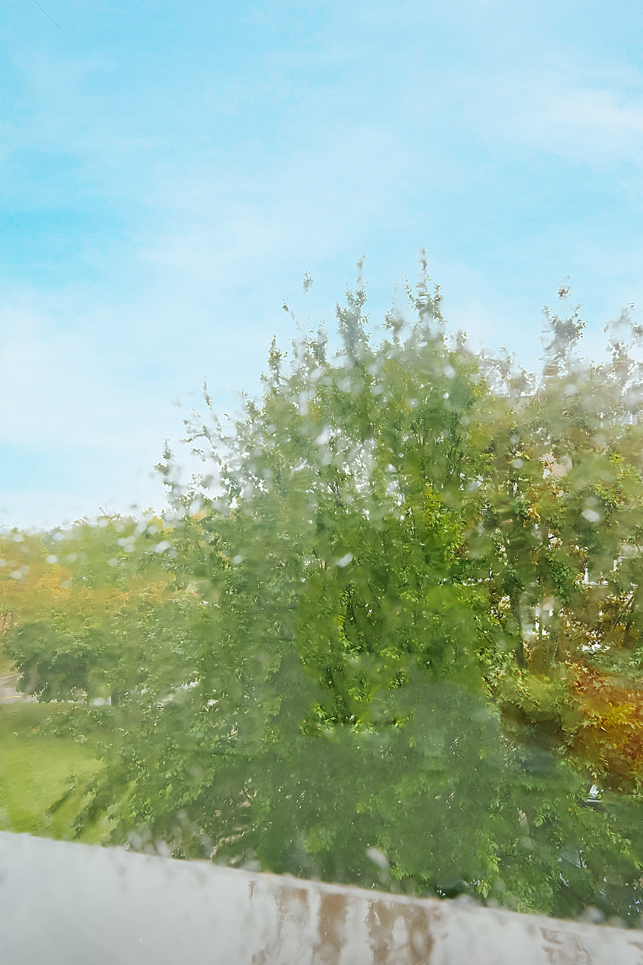 Trakų vokė. Elina Sapiega fotografė Vilniuje